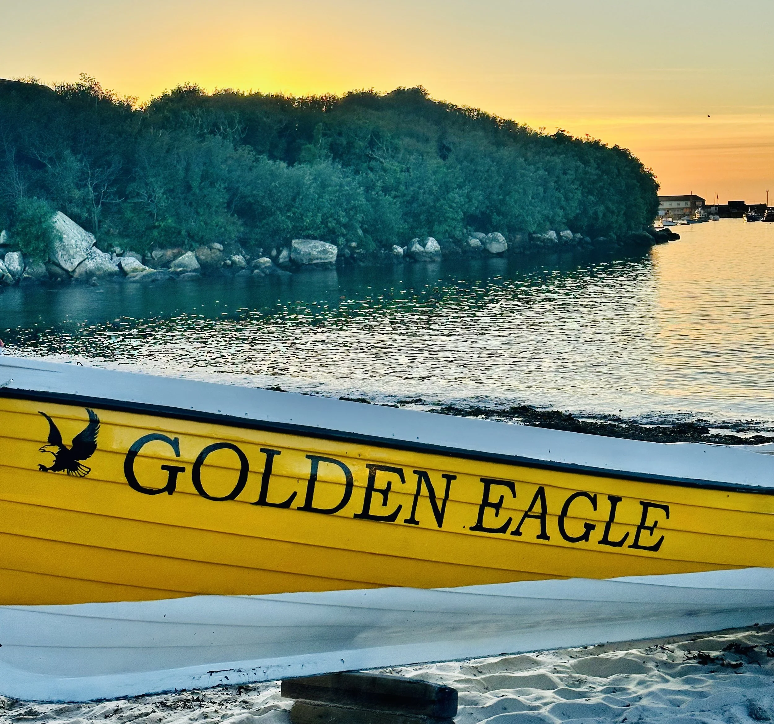 Yellow Gig named Golden Eagle on Porthmellon Beach with a black eagle logo on a sandy shore at sunset, with water and green hills in the background.