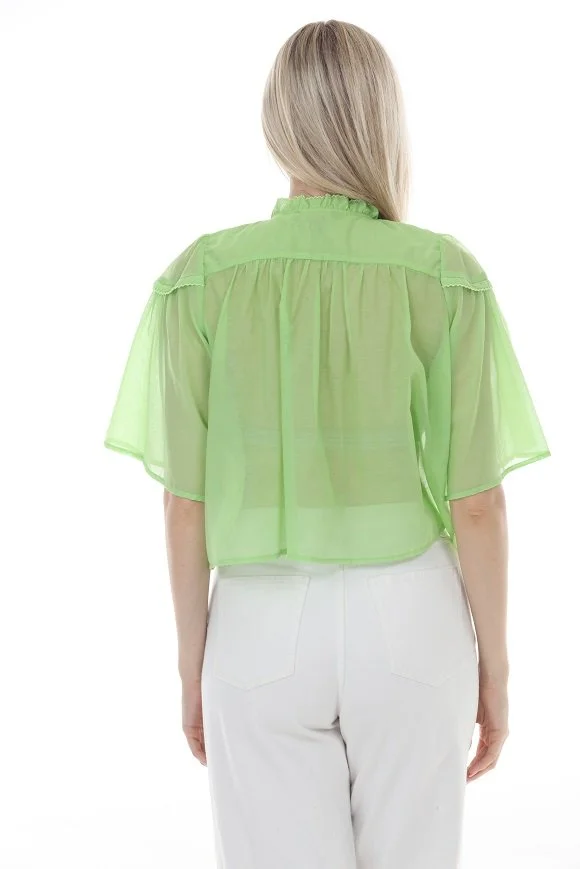 OR6671-LIME-09.JPG