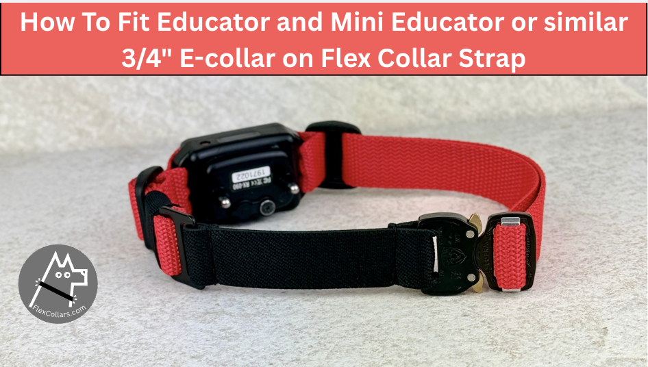 How To Fit an ECT Educator / Mini Educator or Similar E-collar