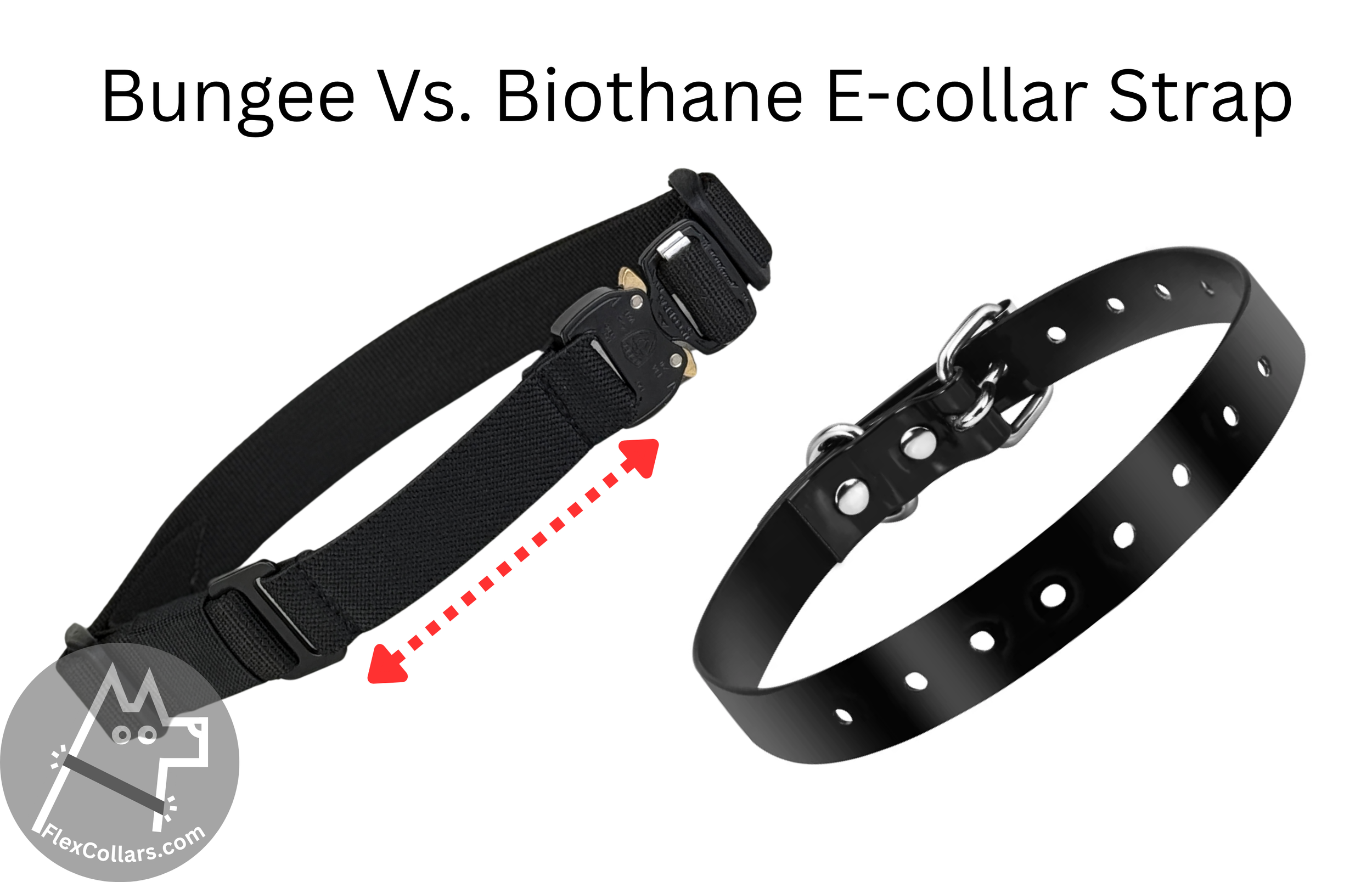 Bungee vs. Biothane E-collar Strap