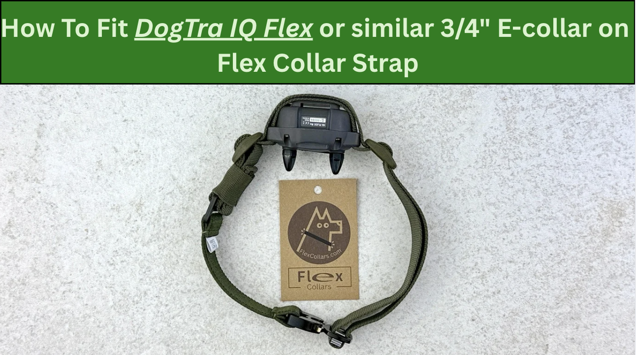 How To Fit DogTra IQ Flex or Similar 3/4” E-collar