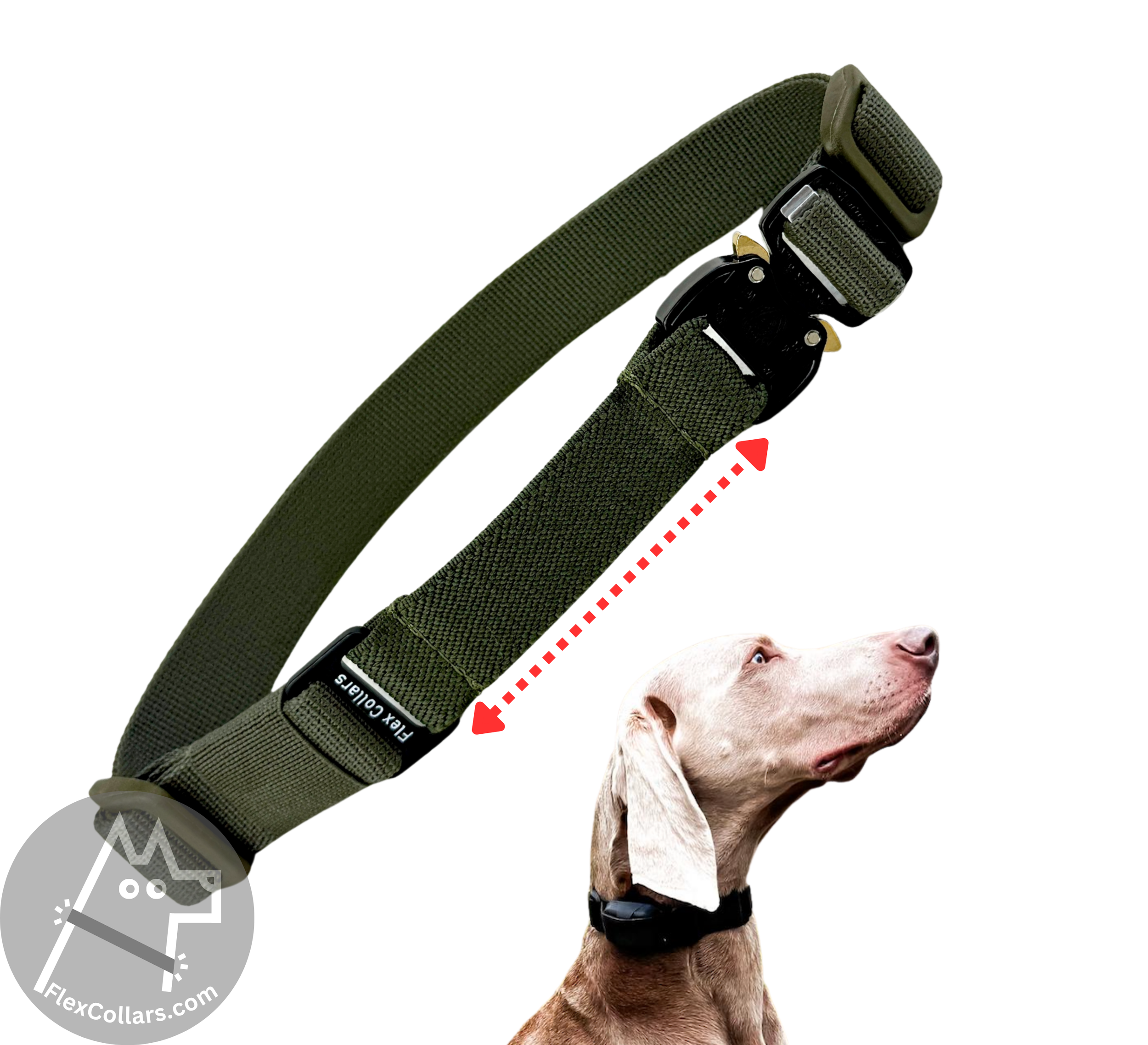 Bungee E-collar Replacement Strap suitable for Dogtra, Garmin, SportDog, Educator. Military-grade materials, AustriAlpin Quick Release Cobra Buckle. Elastic element for comfort. Colour Ranger Green