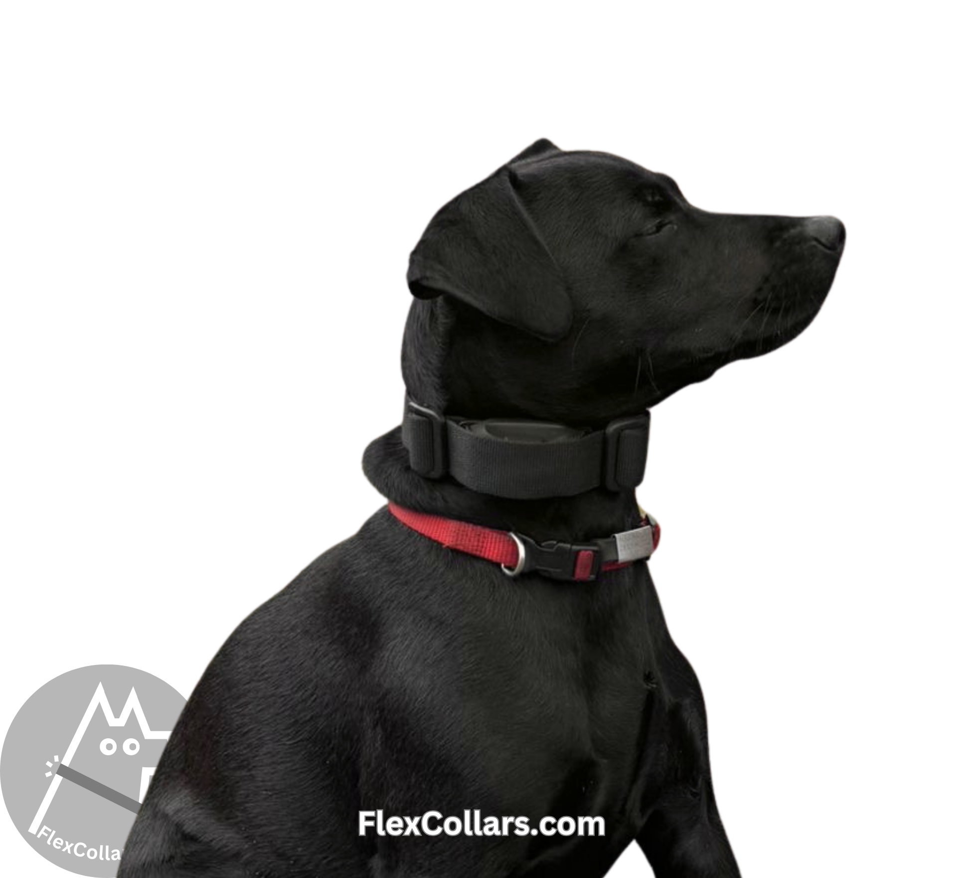 Bungee E-collar Replacement Strap. Military-grade materials, AustriAlpin Quick Release Cobra Buckle. Elastic element for comfort. Colour Green Camouflage