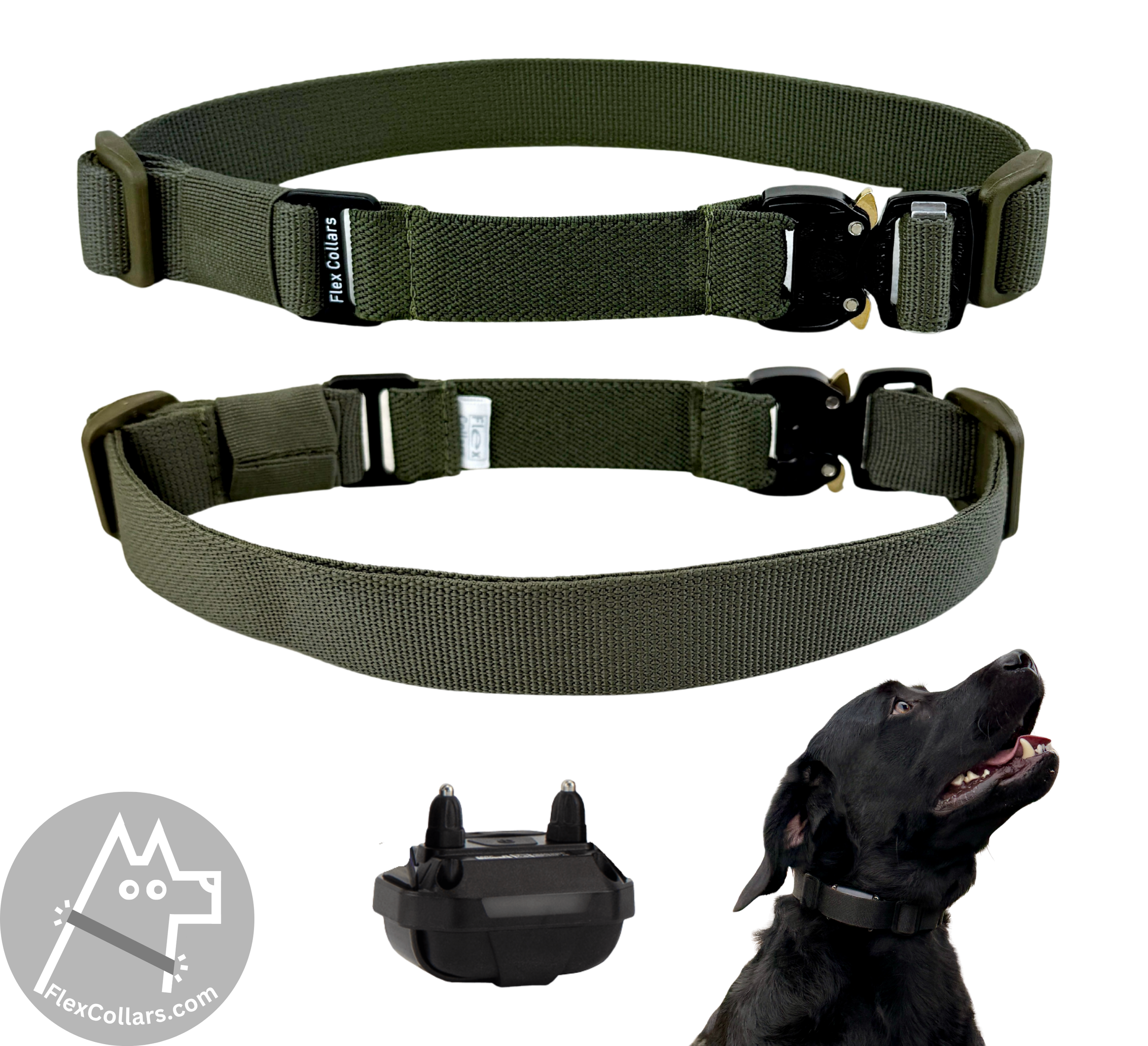 Bungee E-collar Replacement Strap suitable for Dogtra, Garmin, SportDog, Educator. Military-grade materials, AustriAlpin Quick Release Cobra Buckle. Elastic element for comfort. Colour Ranger Green
