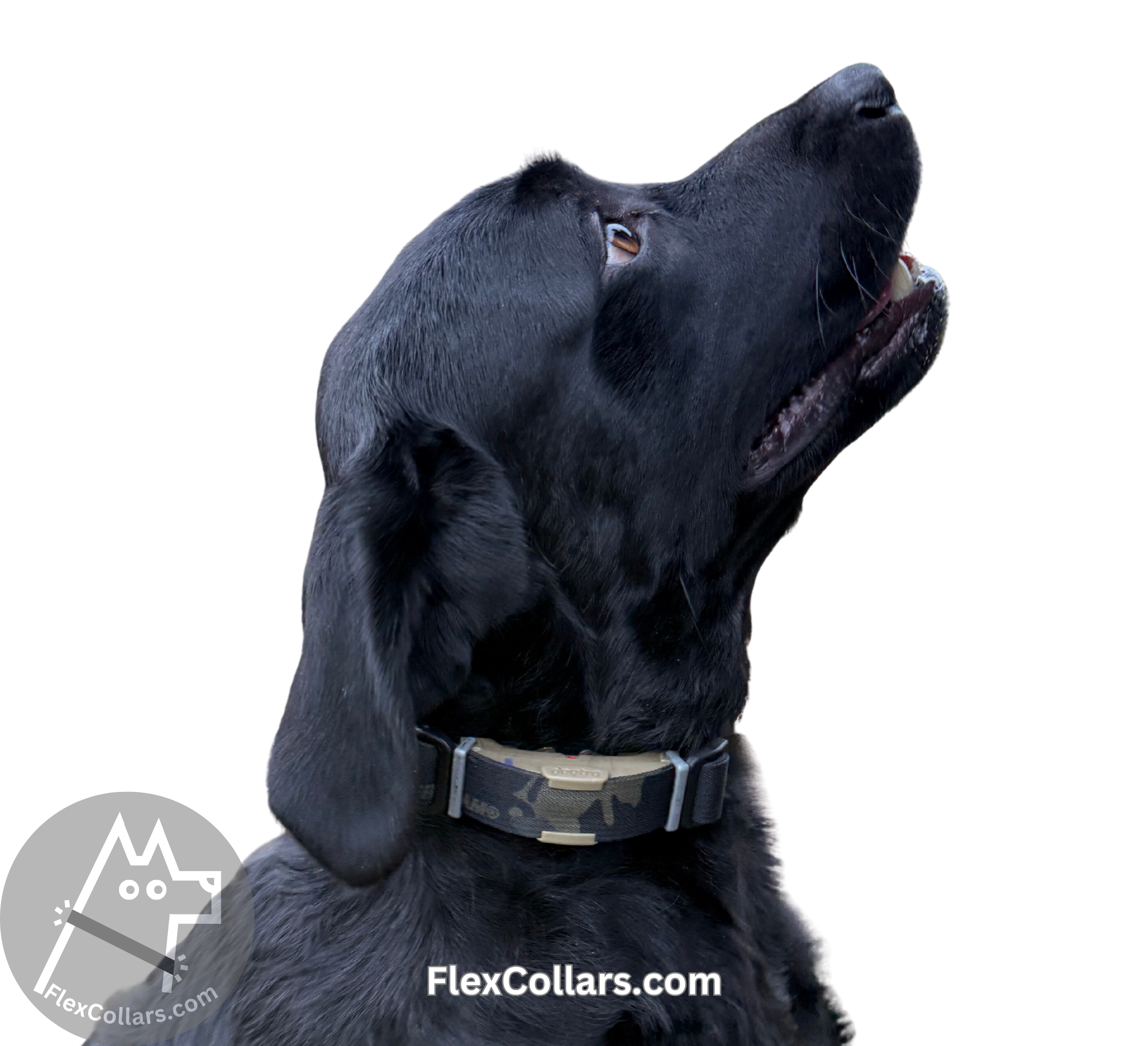 Tactical Bungee Collar E-collar Straps. Military-grade materials, AustriAlpin Quick Release Cobra Buckle. Elastic element for comfort. Colour Black Camouflage