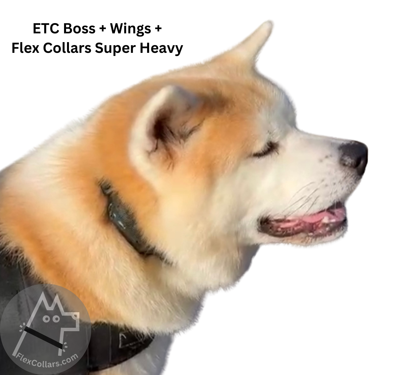 Super Heavy Bungee Collar E-collar Straps for dogs. Military-grade materials, AustriAlpin Quick Release Cobra Buckle. Elastic element for comfort. Colour Green Camouflage