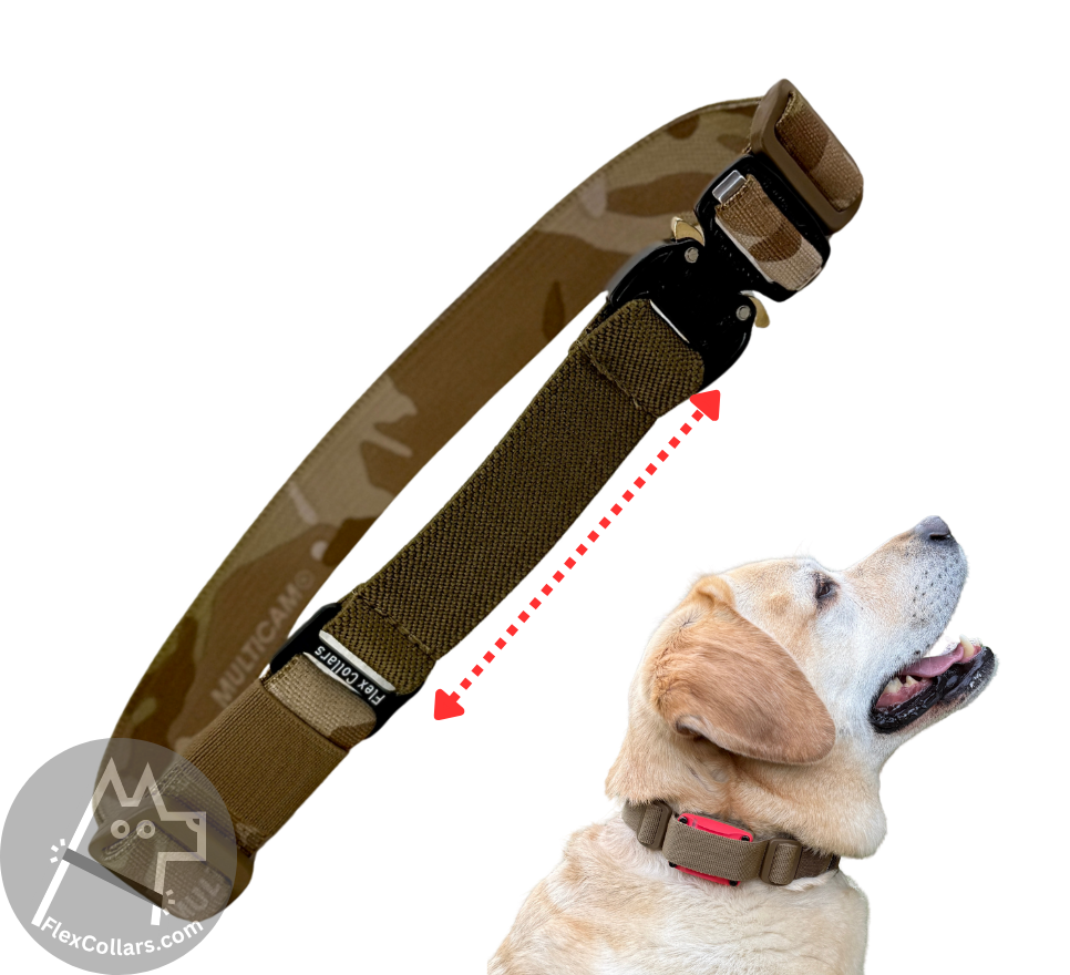 Tactical Bungee E-collar Straps. Military-grade materials, AustriAlpin Quick Release Cobra Buckle. Elastic element for comfort. Colour Arid Dune
