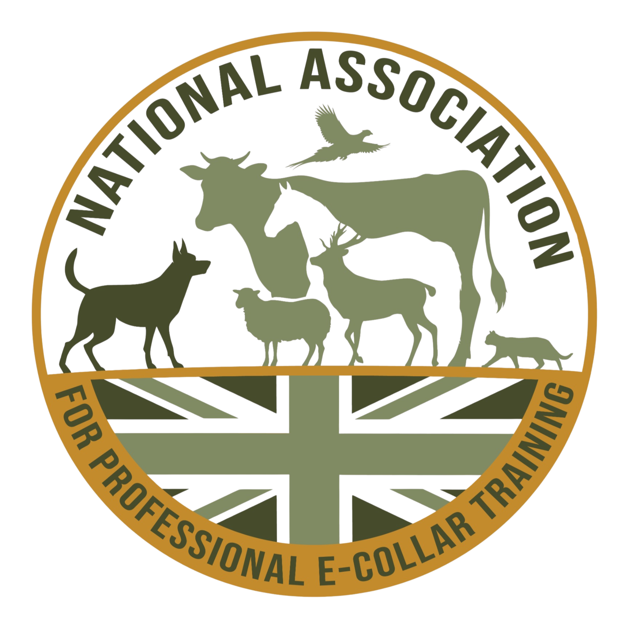National Association for Professional E-collar Training