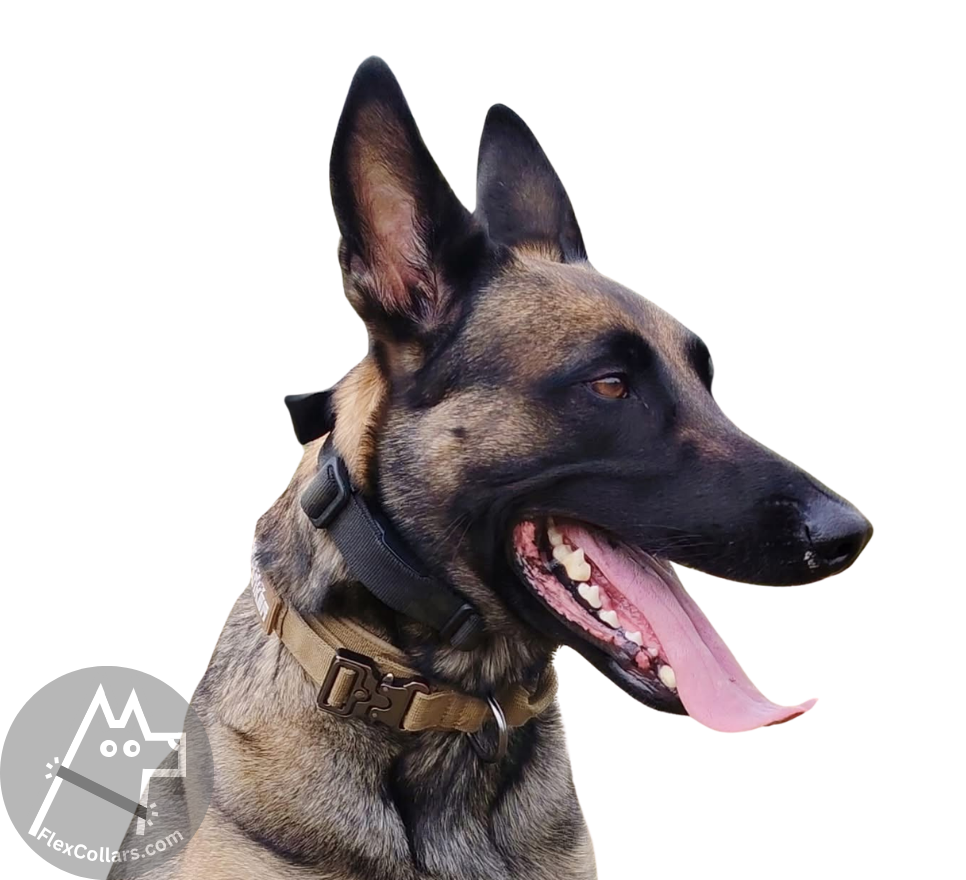 Super Heavy Bungee E-collar Replacement Strap. Military-grade materials, AustriAlpin Quick Release Cobra Buckle. Elastic element for comfort. Colour Black Camouflage
