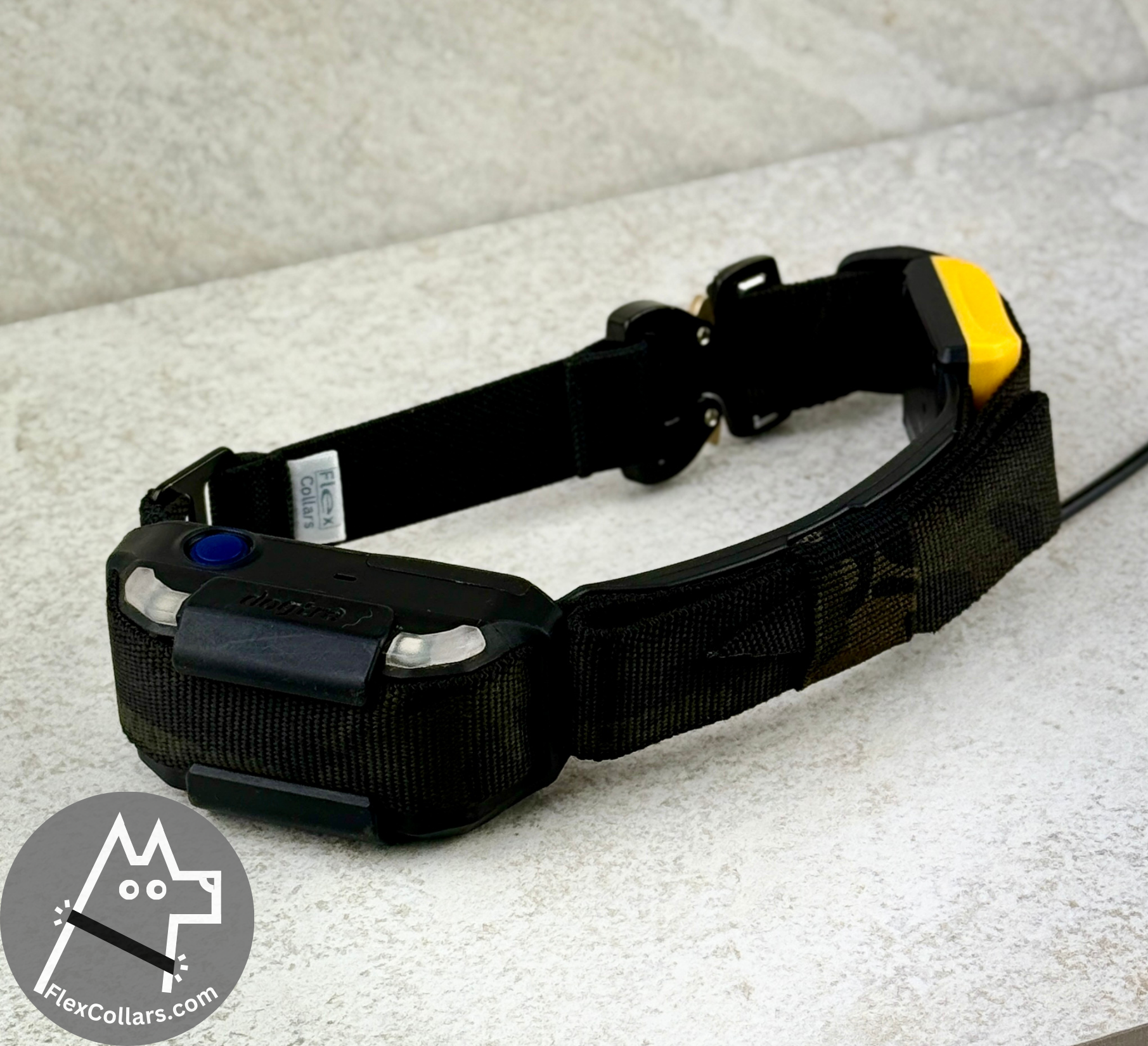 FlexCollar Explorer Strap for DogTra Pathfinder