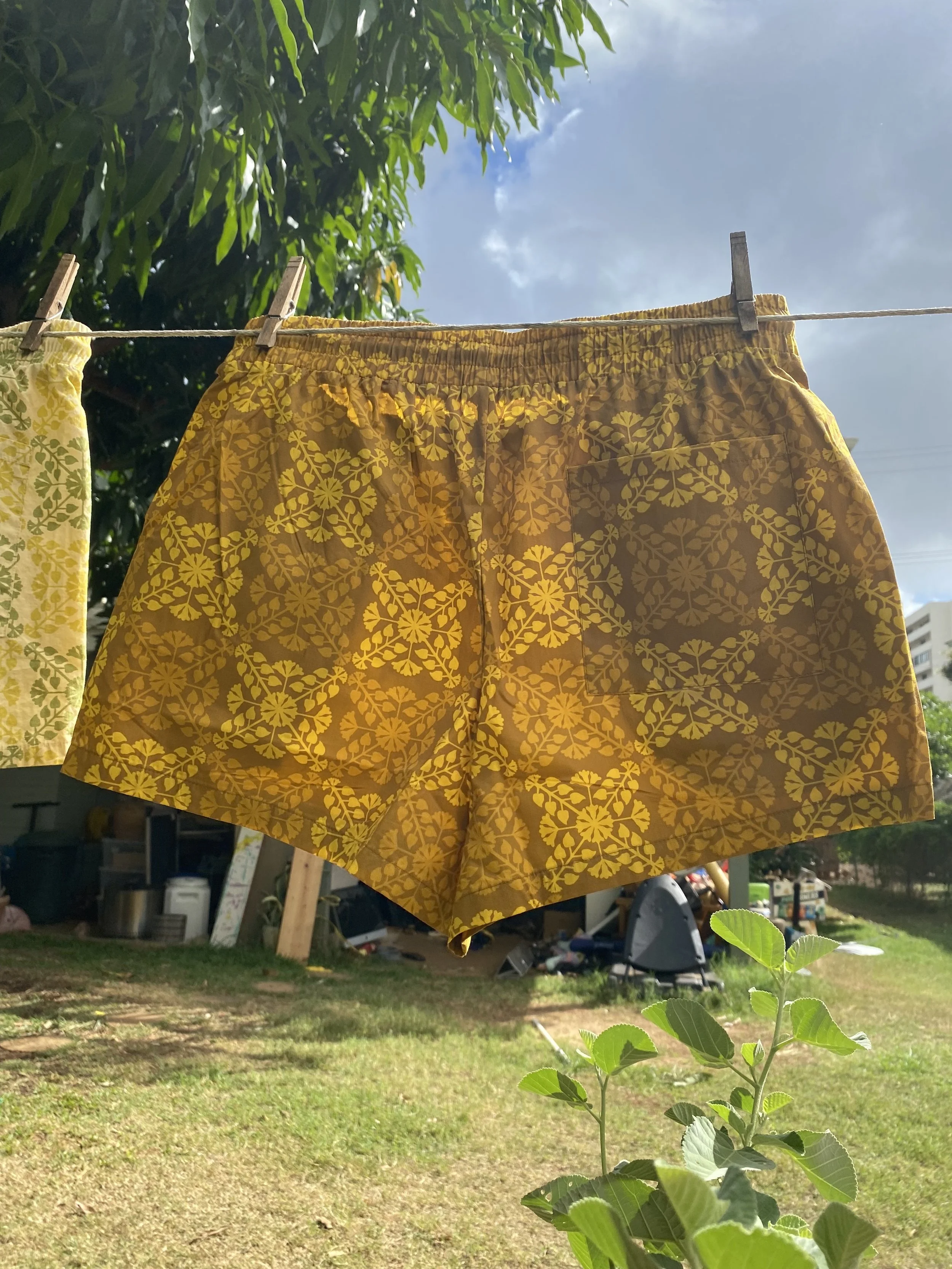 Shorts Brown Back.jpg