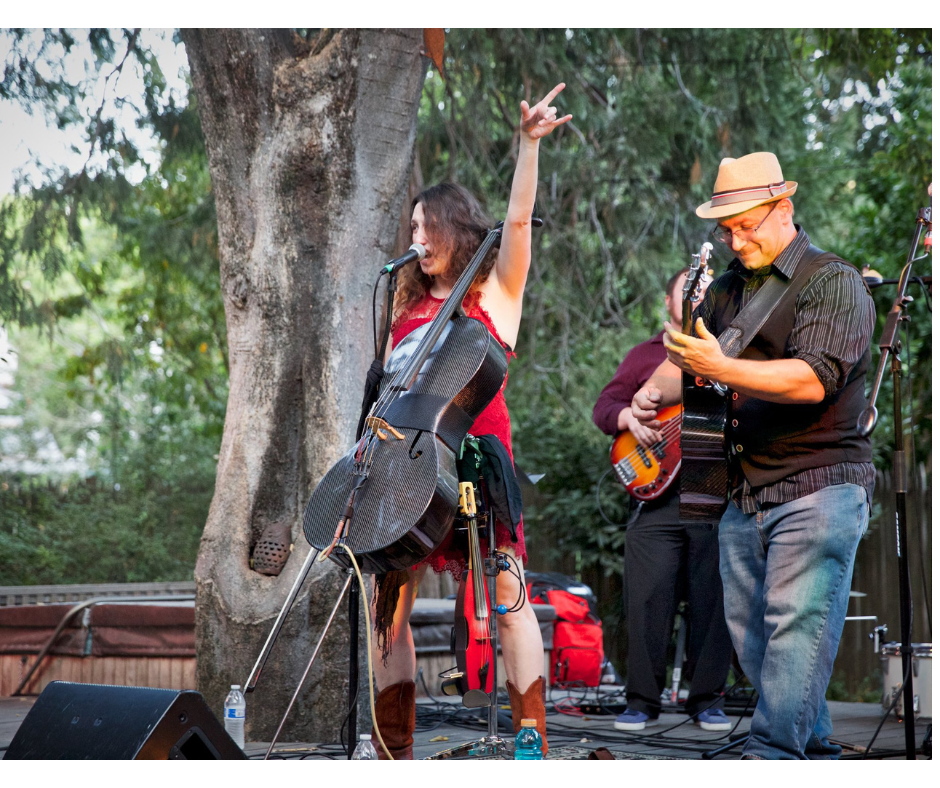 Dirty Cello Duo at the Redwood Gallery