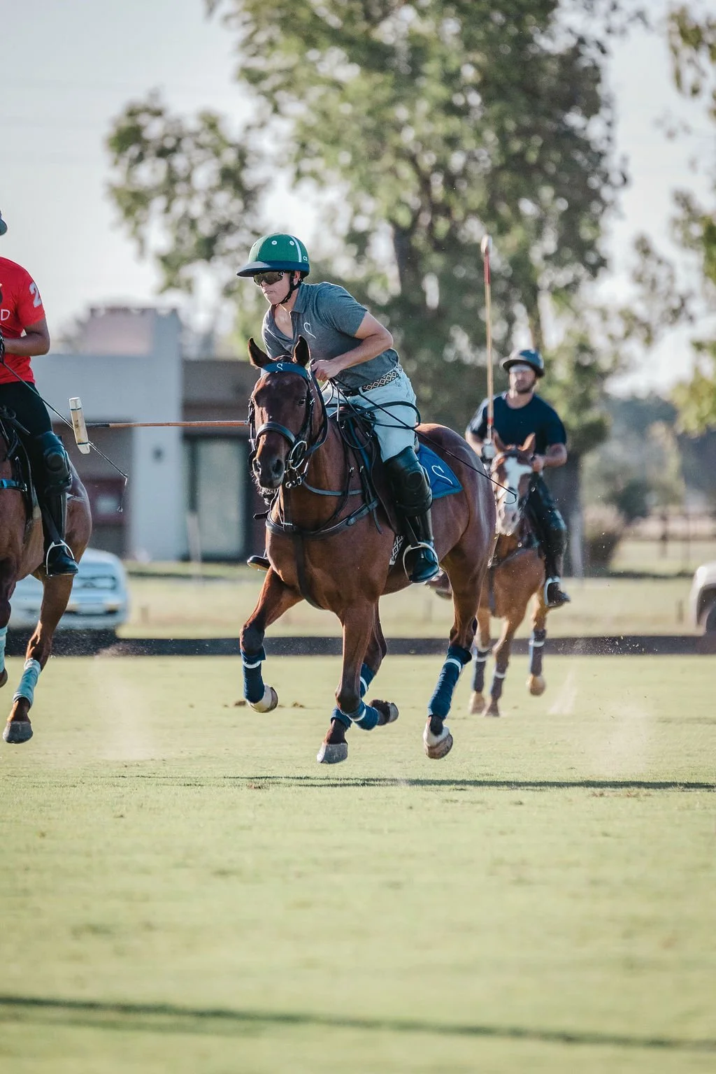 A polo player riding a horse on a grassy field, holding a polo mallet, with trees and buildings in the background.
