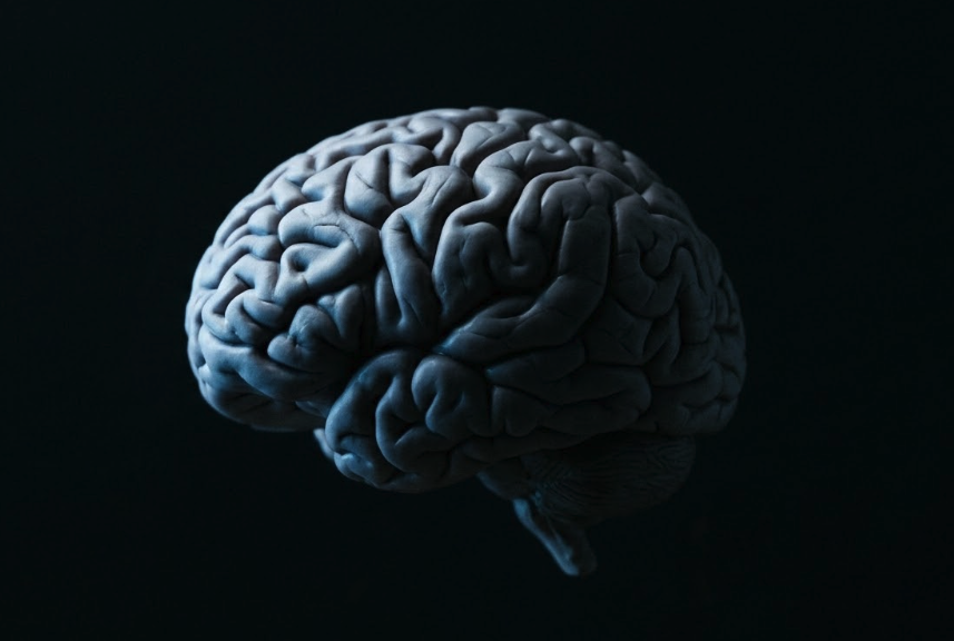 The Science of Sleep: A Simple Guide