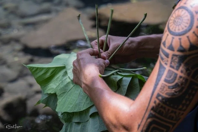 Person with a tattoo on their arm holding green leaves and plant stems near a stream.