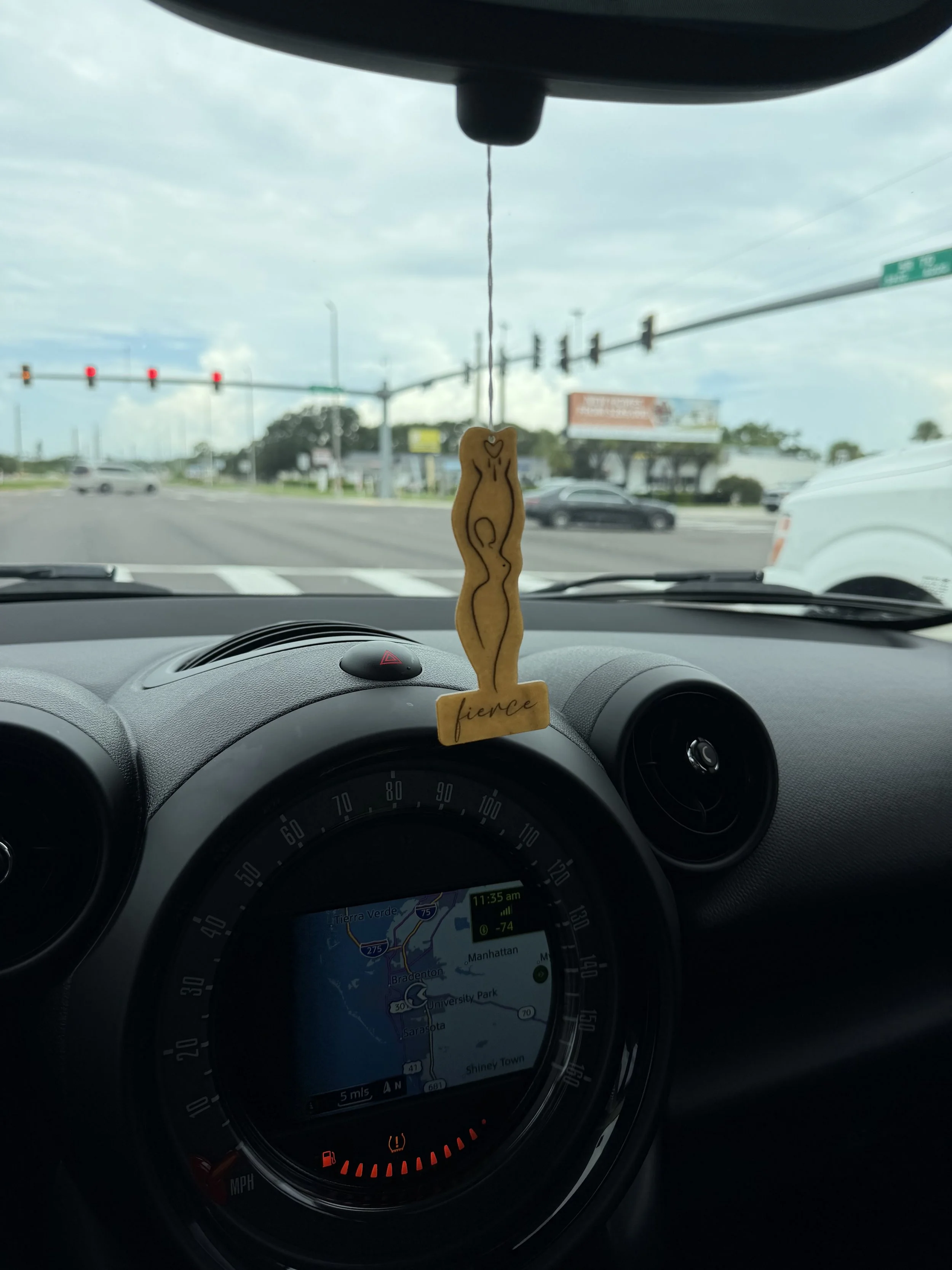 Freshie in the car.jpg