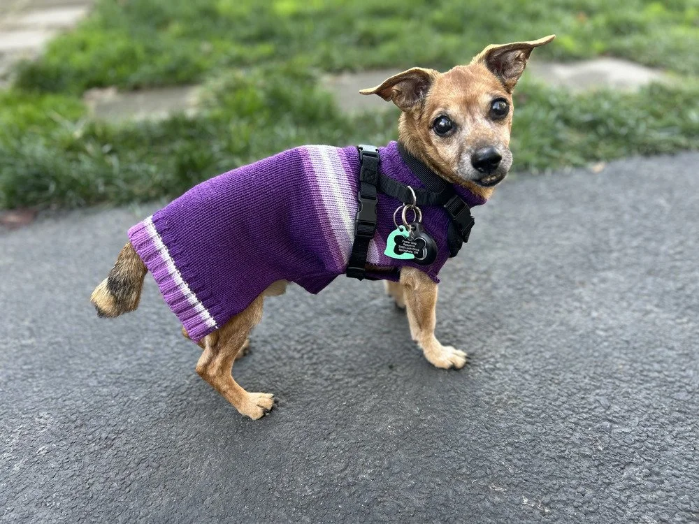 Dukey.jpg