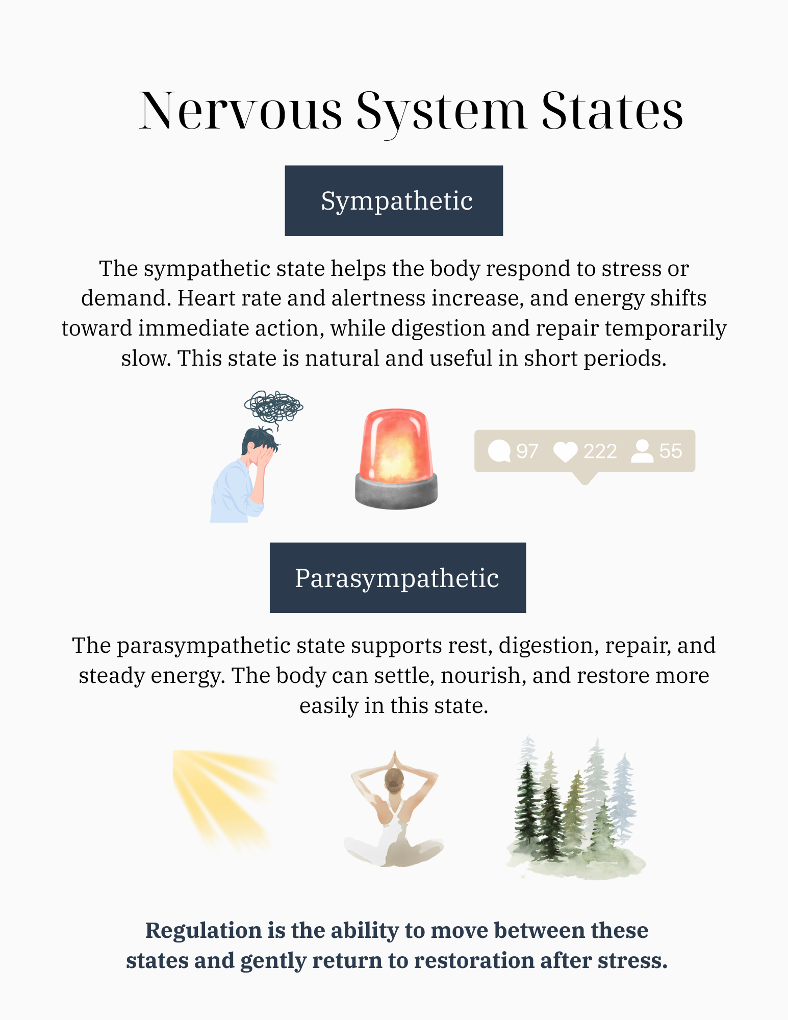 Nervous System Regulation @nourisheddgirl (3).png