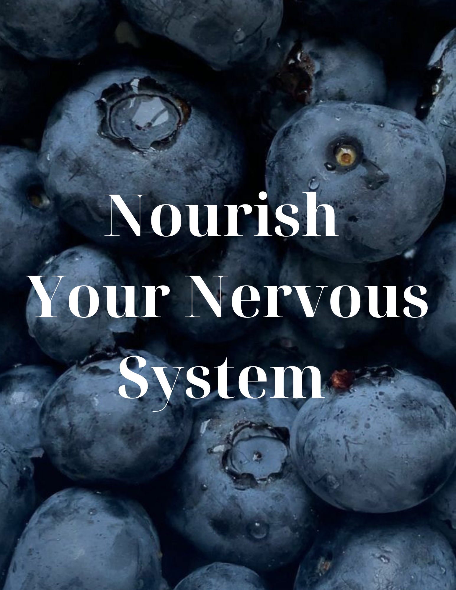 Nervous System Regulation