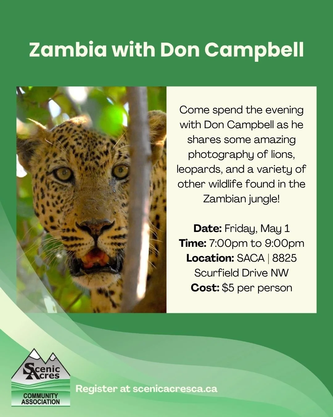 Zambia Wildlife Photography by Don Campbell