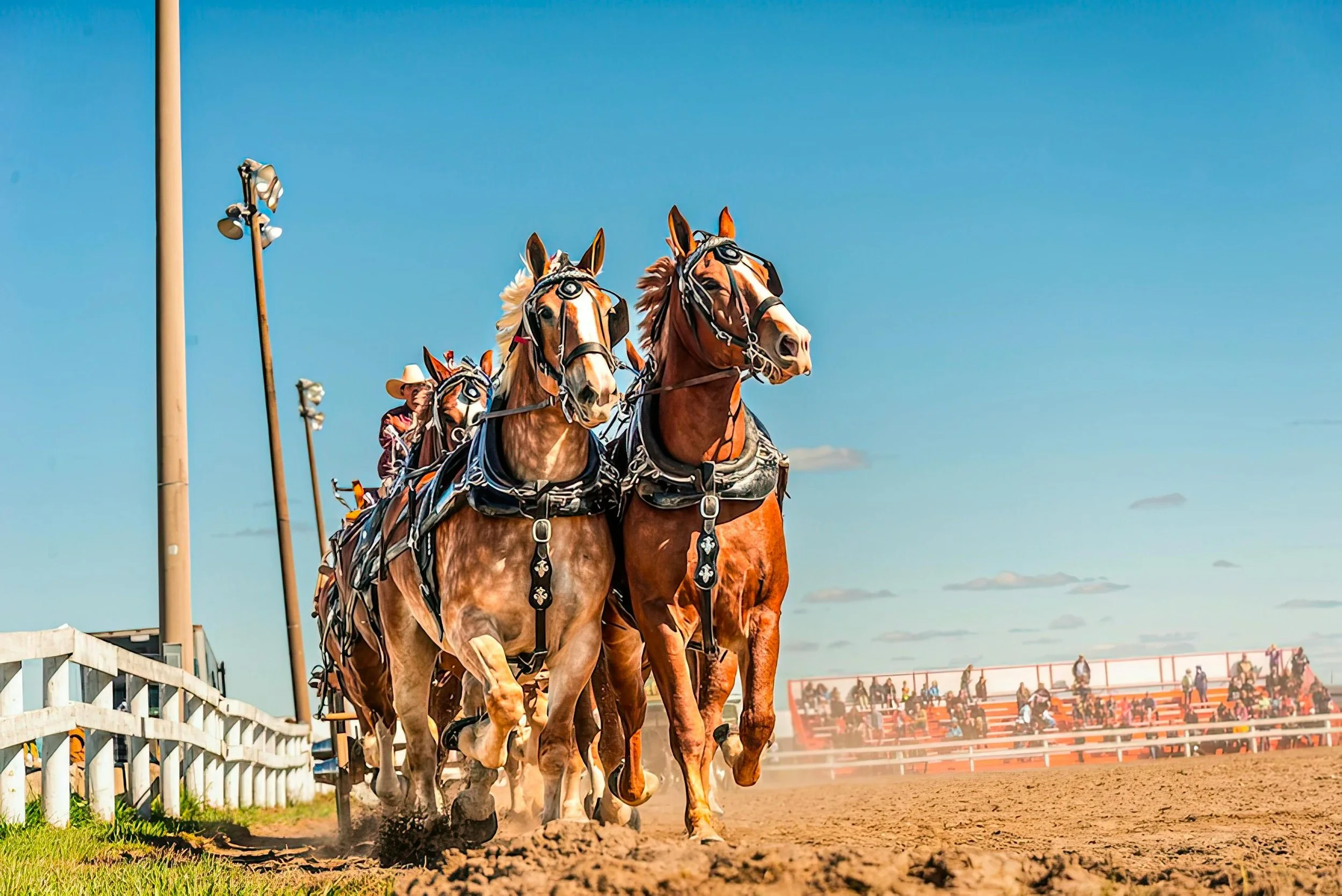 Stampede BBQ