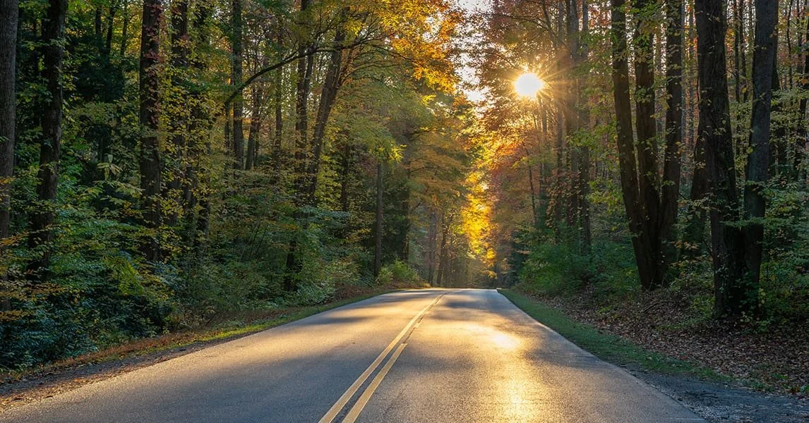 Step Back in Time: A Journey Along the Victoria Trail
