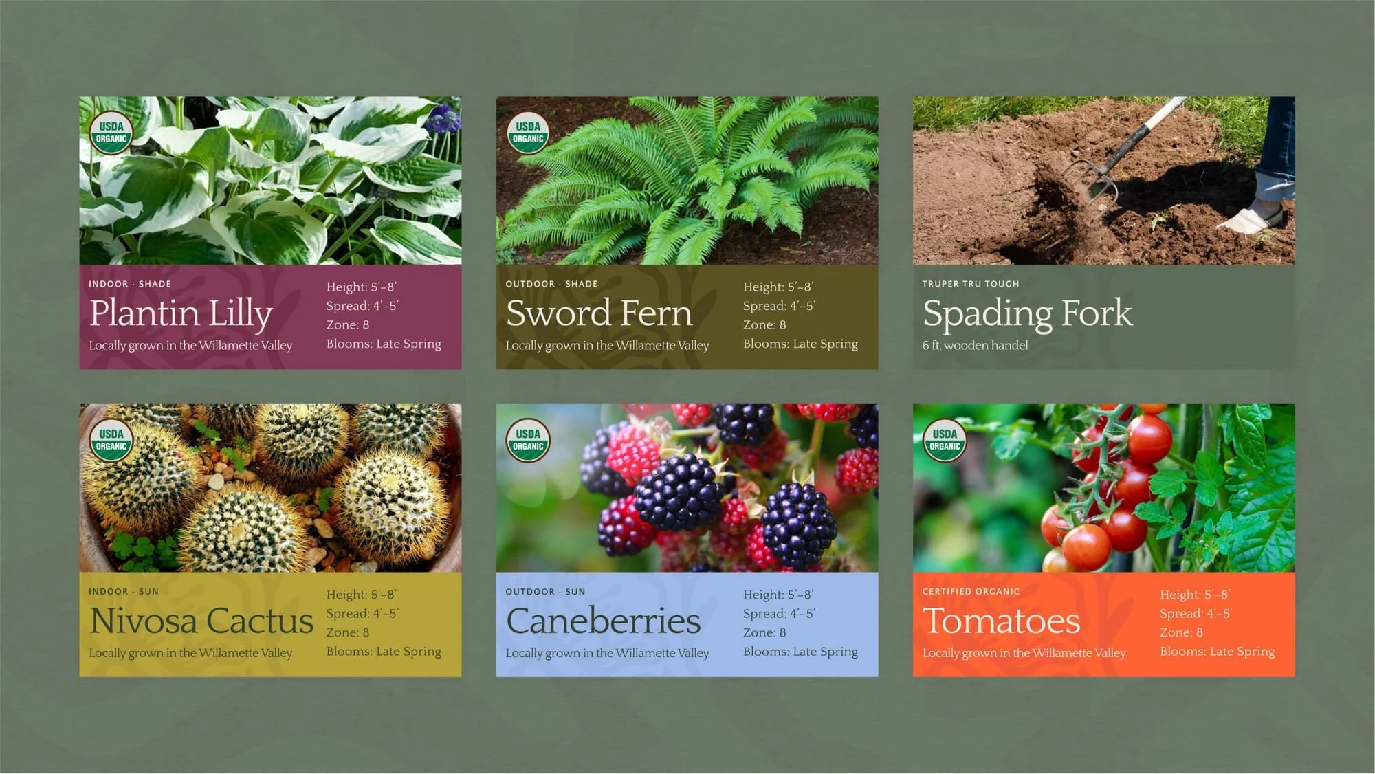 68420810e4d98e4fd1280b1d_Frame 269-p-2000.jpg