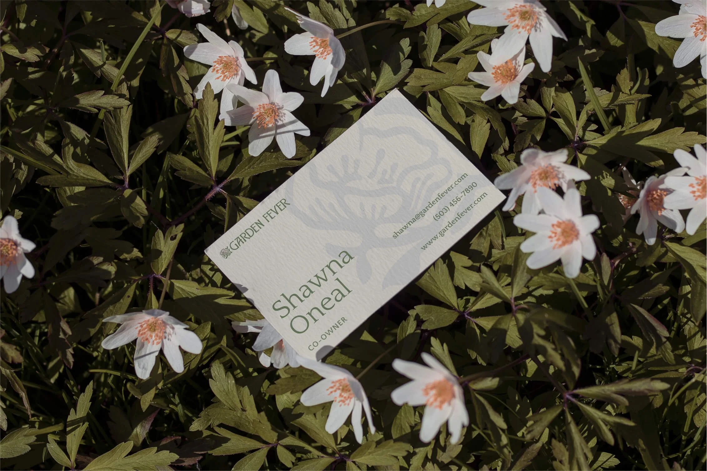 68420810e539793476cc4c17_Screenshot 2025-02-17 at 4.21.11 PM 1.jpg