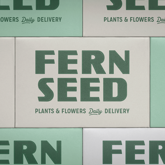 Bendito_Mockup-LB25-W29-Le_Box 1.png