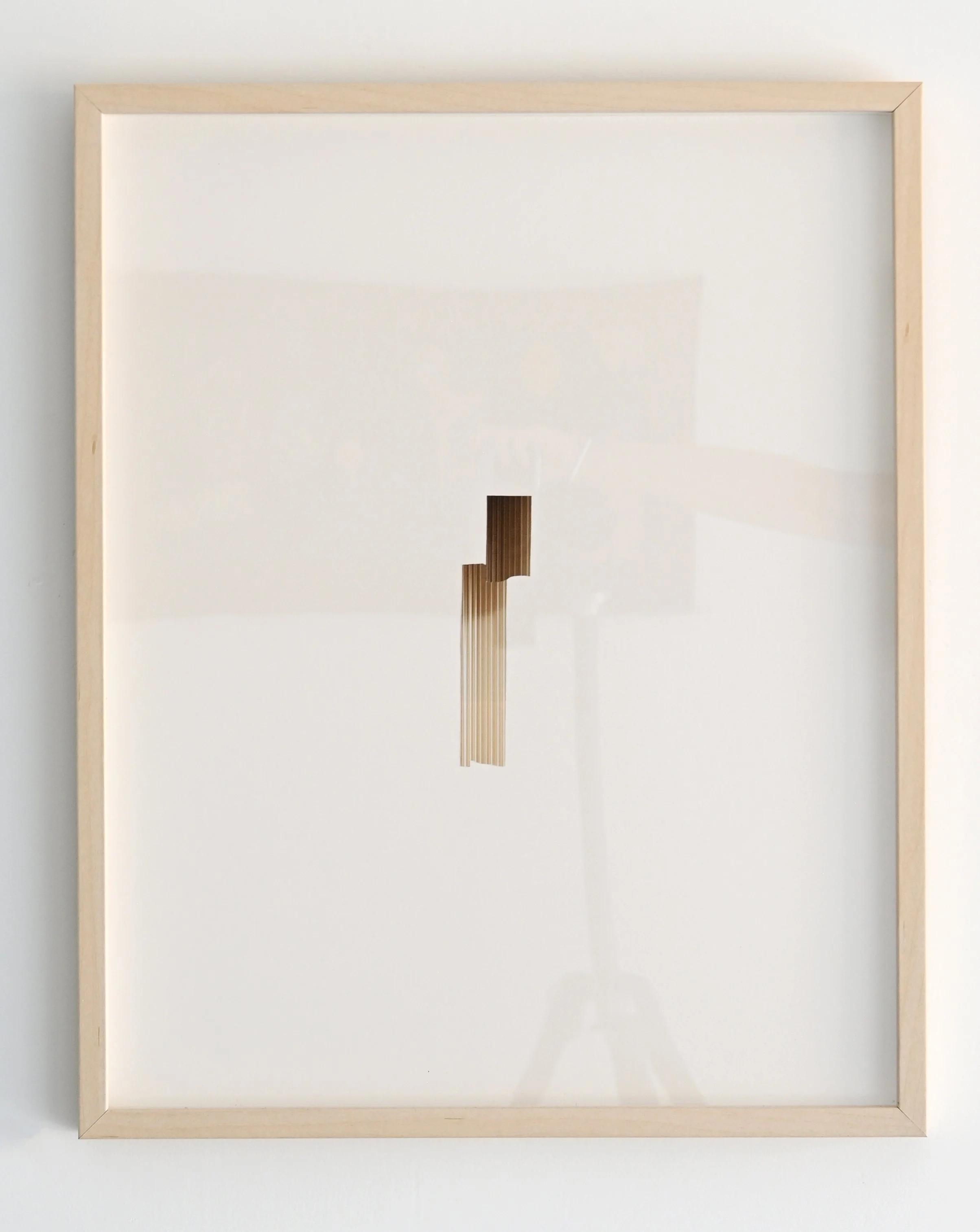 Six Degrees_Heather Link-Bergman_super natural 2.jpg