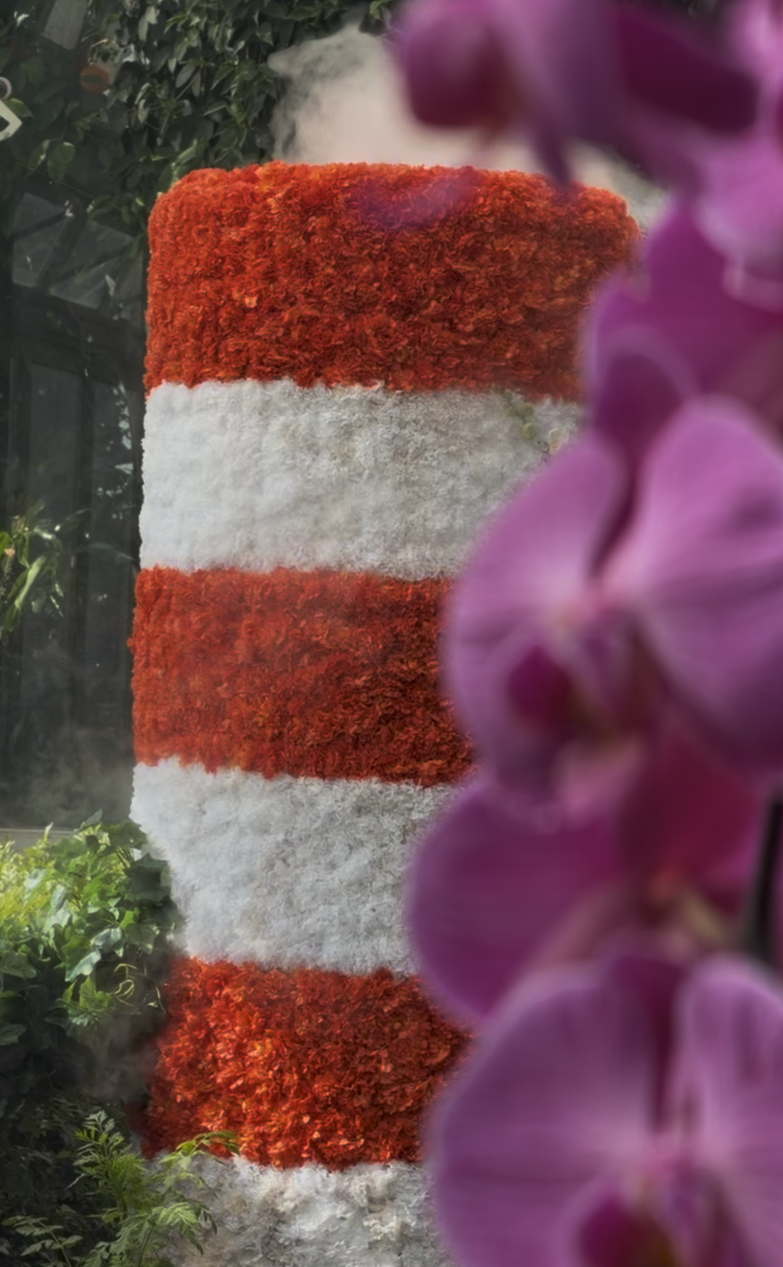 A rectangular outdoor flower display with alternating red and white horizontal stripes made of densely packed flowers, with purple orchids partially visible in the foreground.