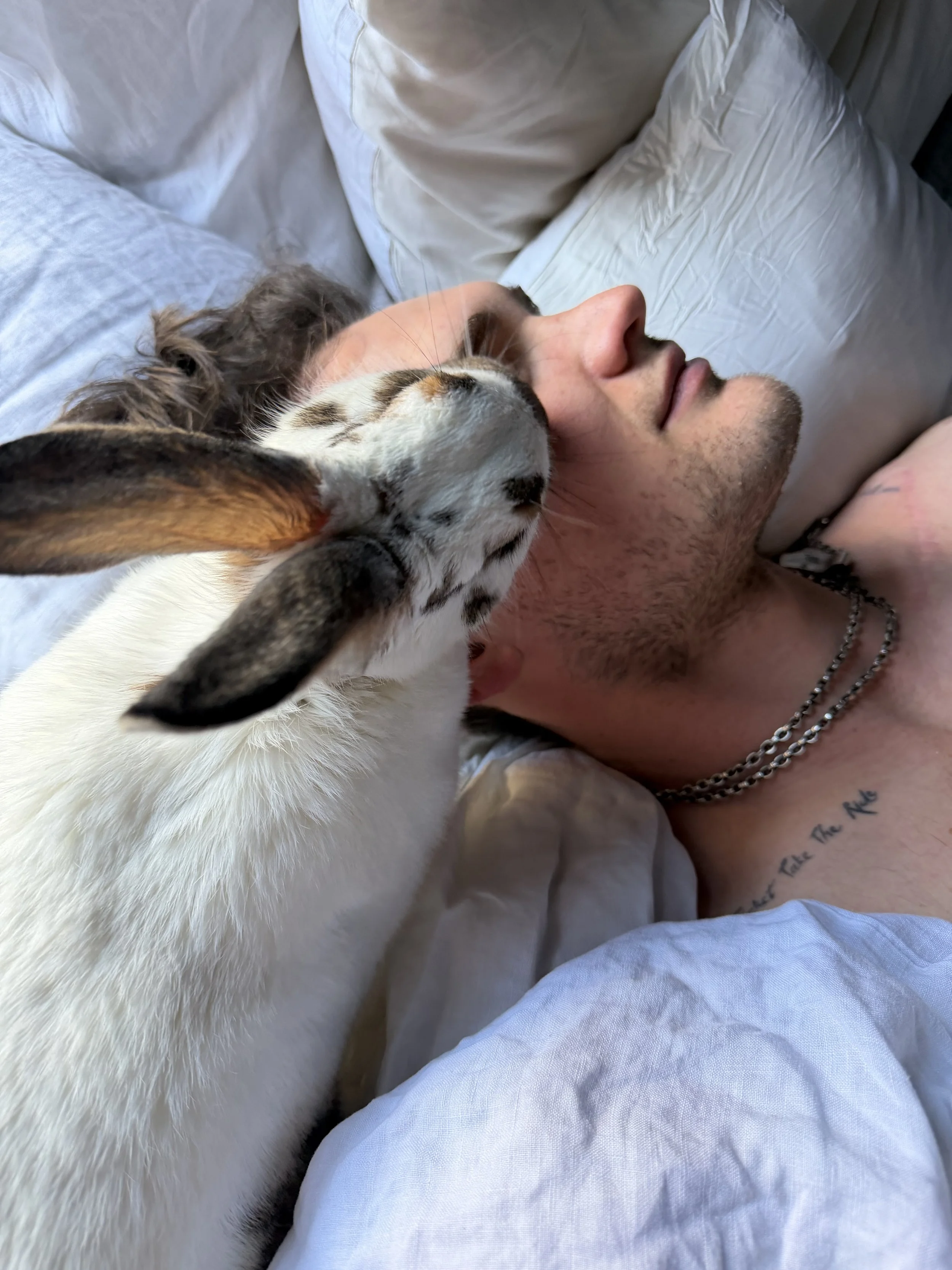 A person lying in bed with a dog resting its head on their chest. The person has a beard, tattoos, and is wearing a chain necklace, with white and beige pillows behind them.
