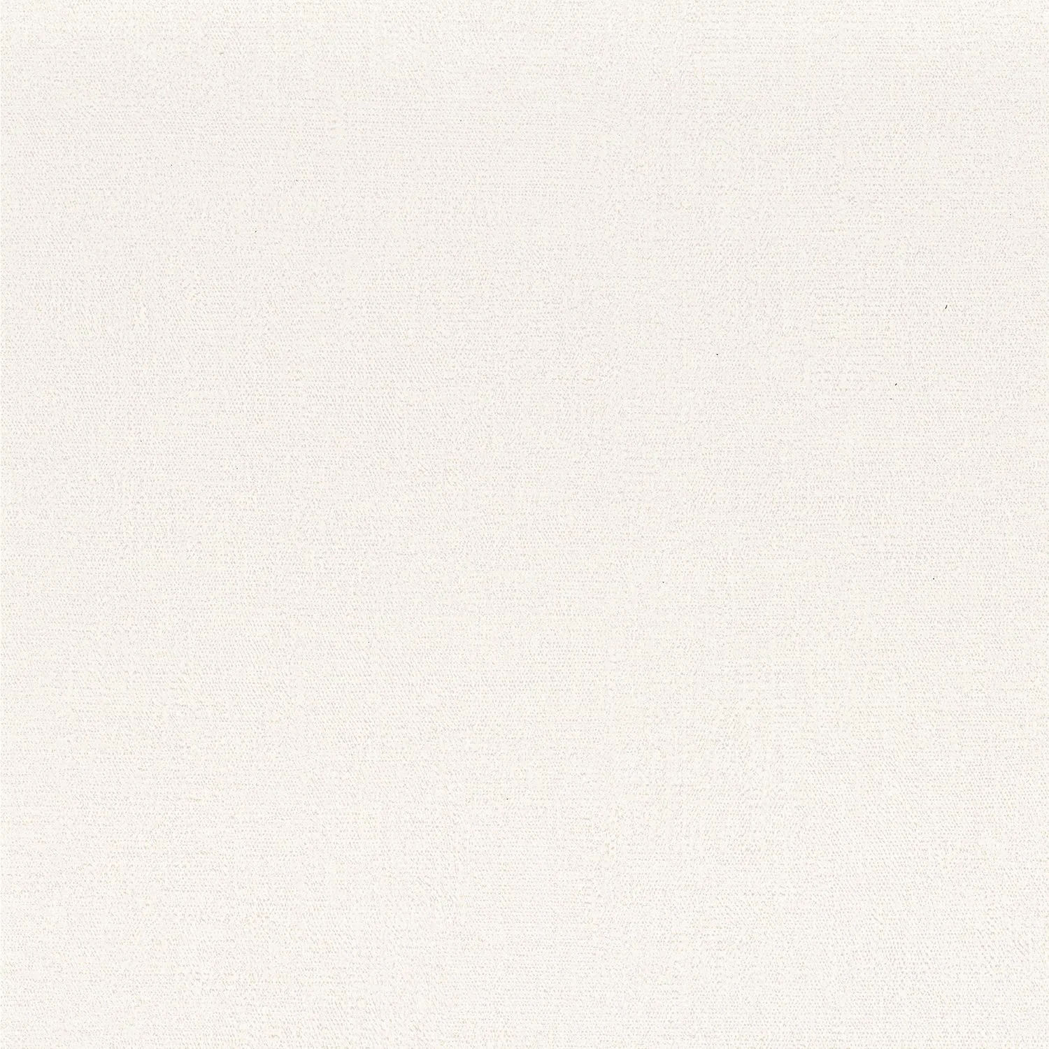 OCTA__Blanc__75422446.jpg