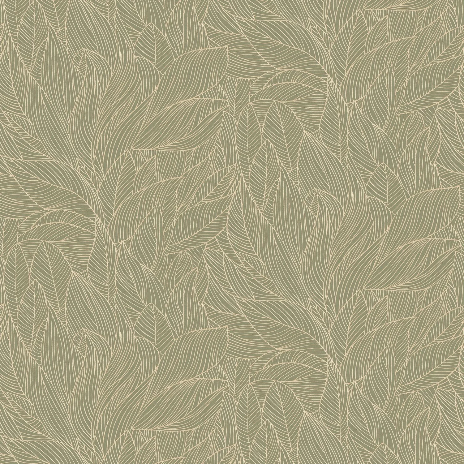 HOSTA__Sauge-Dore__76602548.jpg