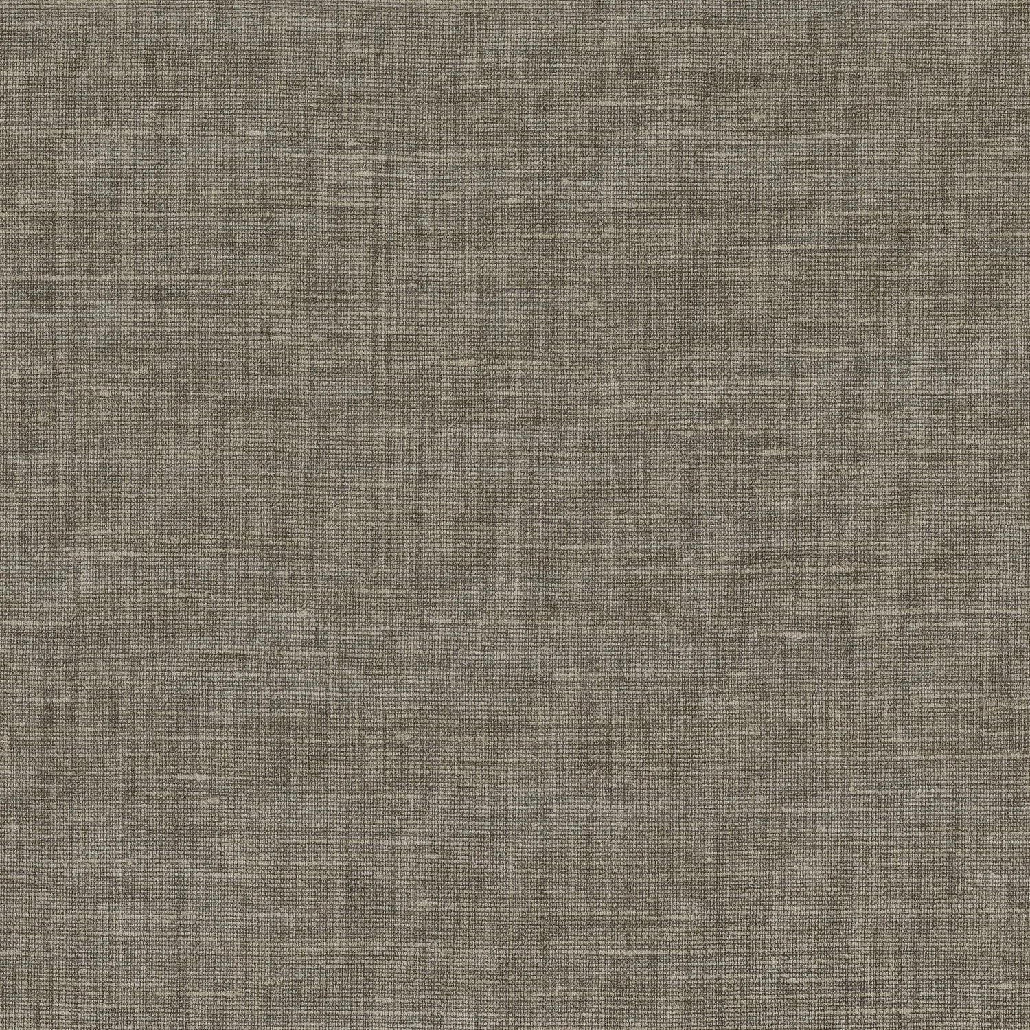 SHINOK__Gris Taupe__73813782.jpg