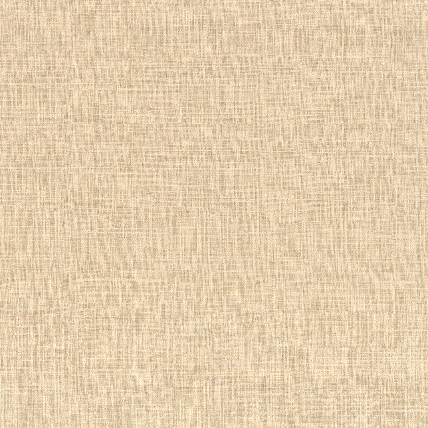 SIERRA__Coquille__76702242.jpg