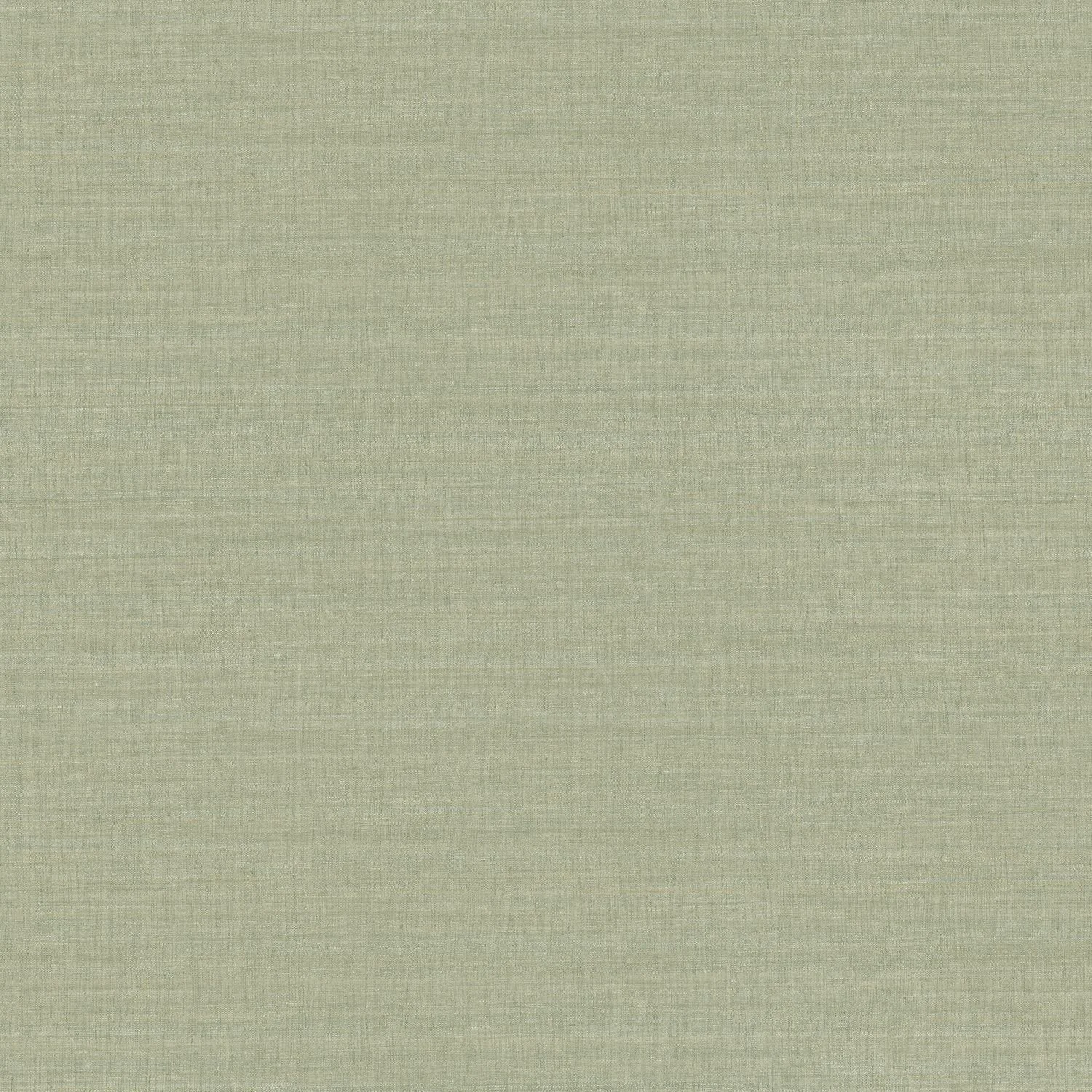 SORA__Eucalyptus__70172752.jpg