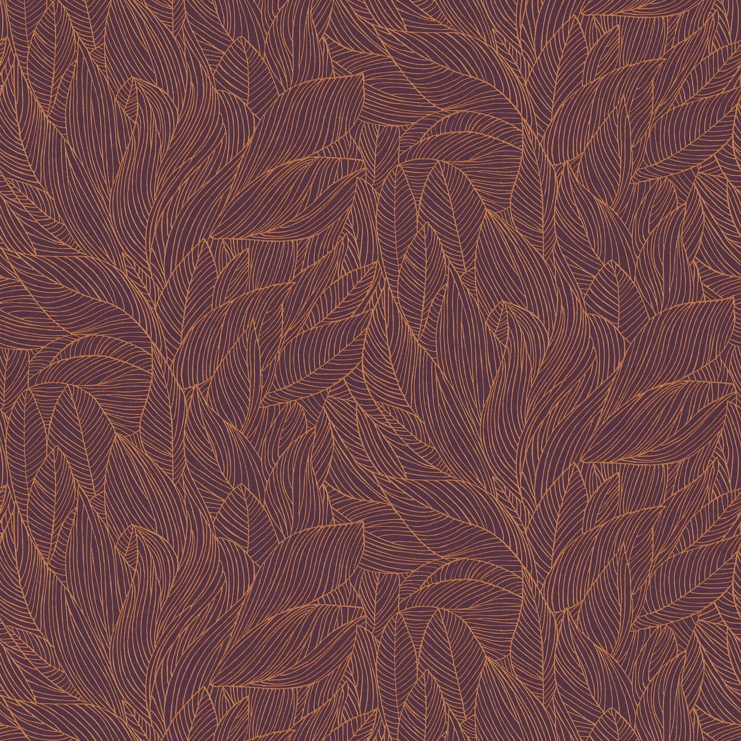 HOSTA__Pourpre-Cuivre__76602854.jpg