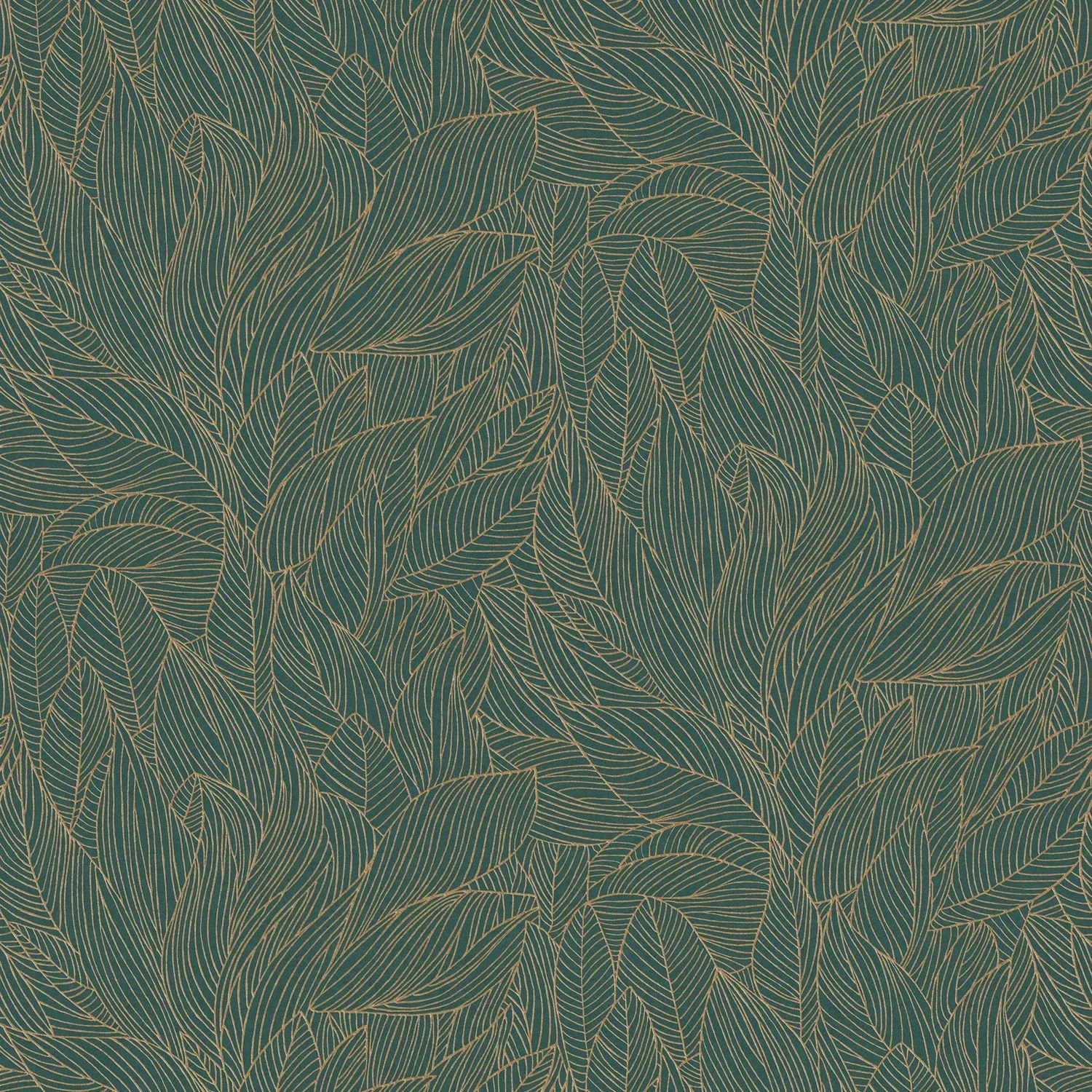 HOSTA__Jaspe-Dore__76602650.jpg