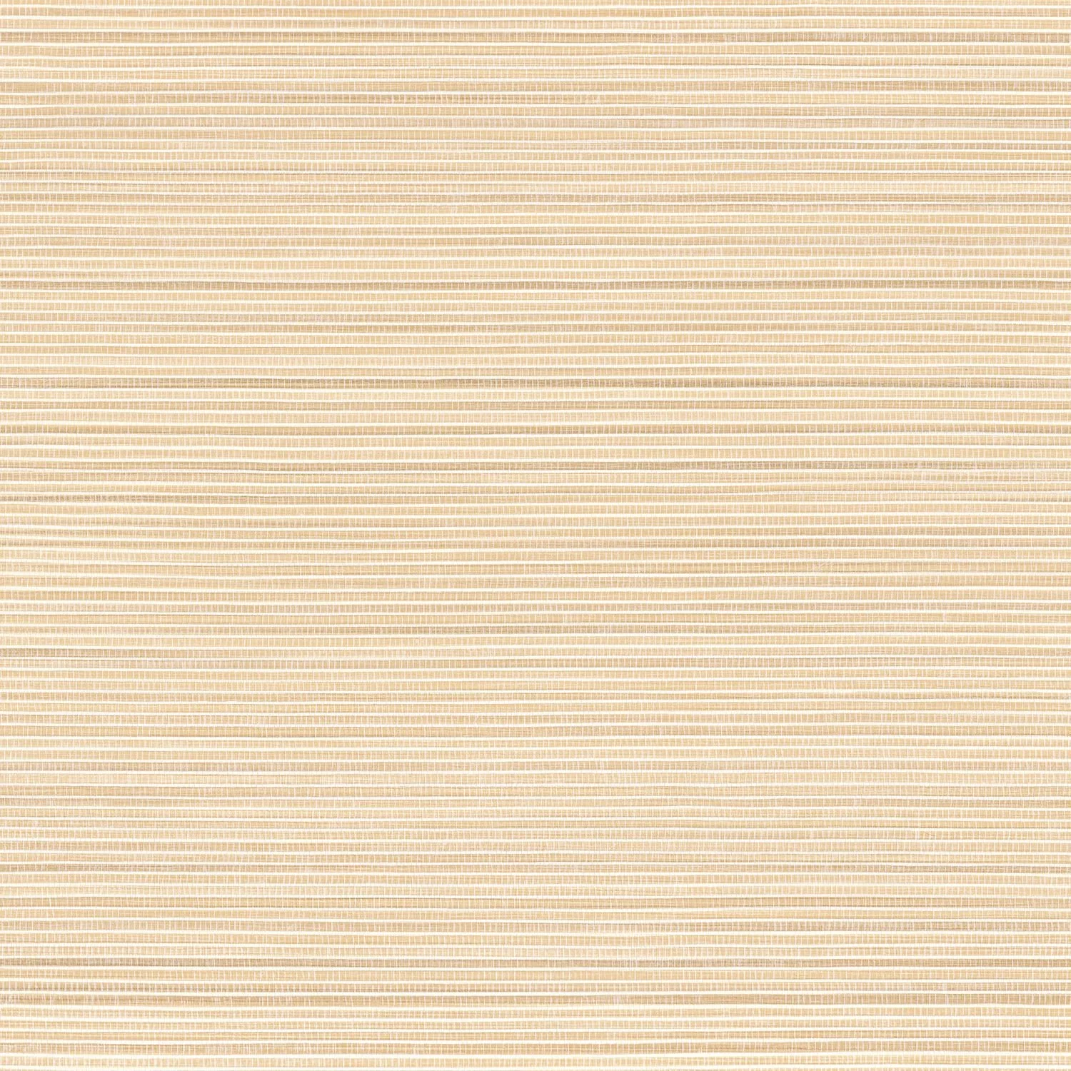 PANDAN__Paille__75360202.jpg