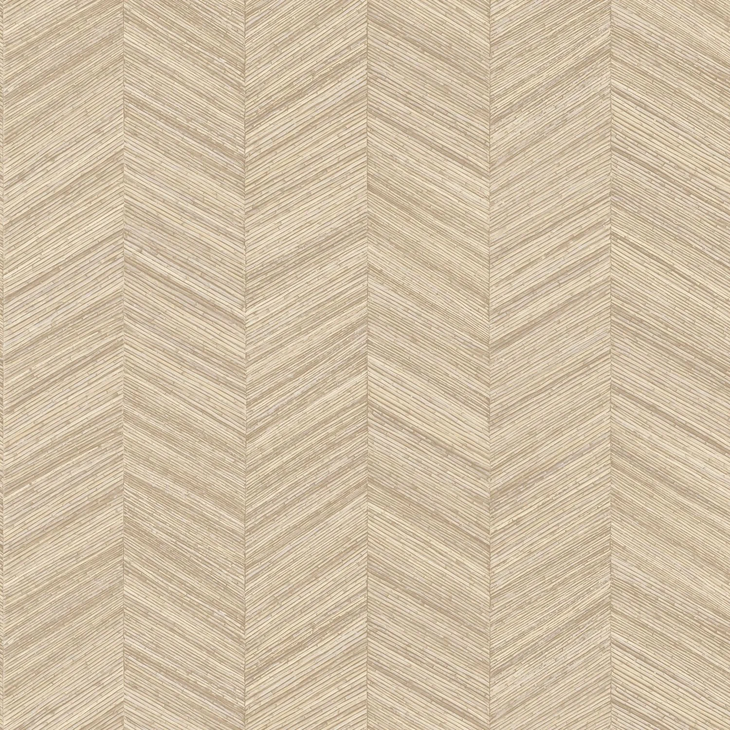 OCOTEA__Coquille__75372446.jpg