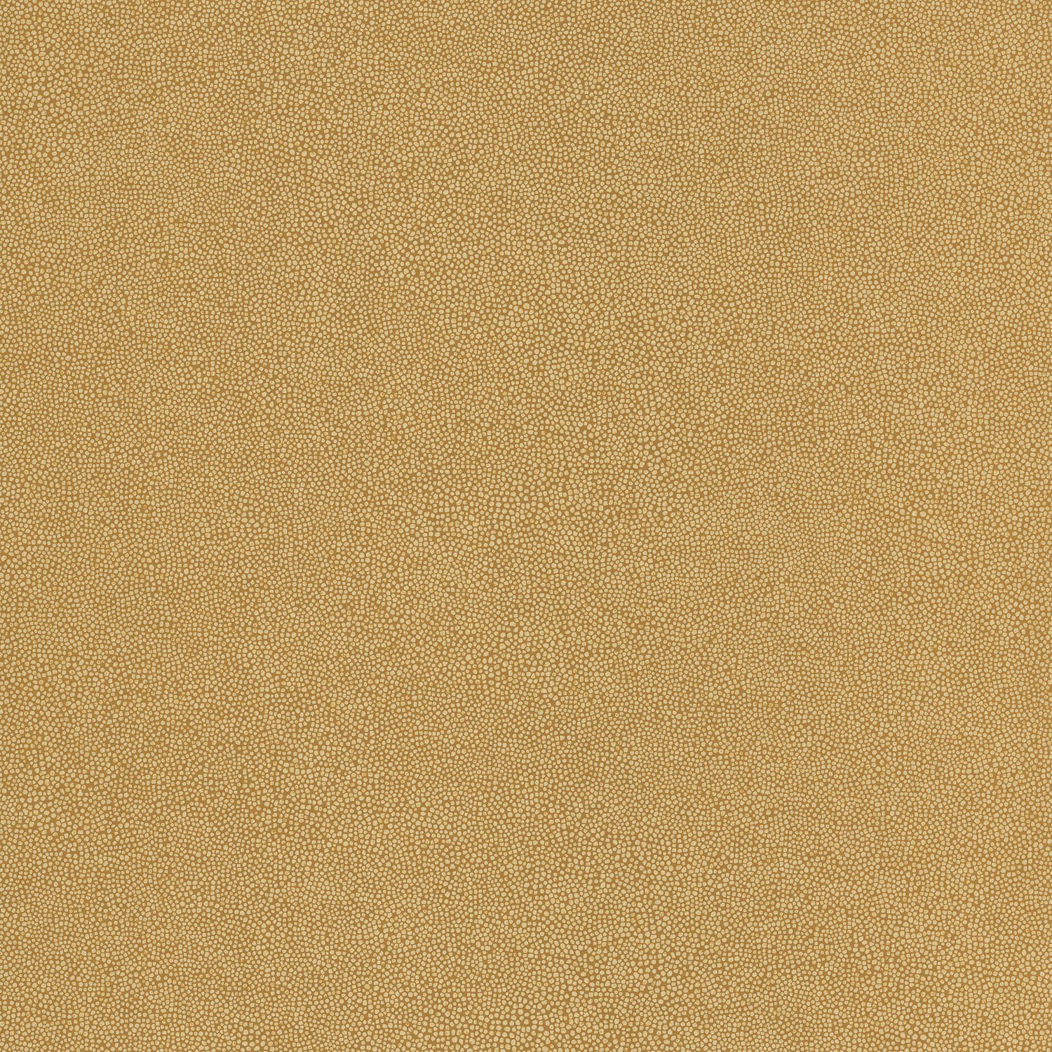 92839.jpg