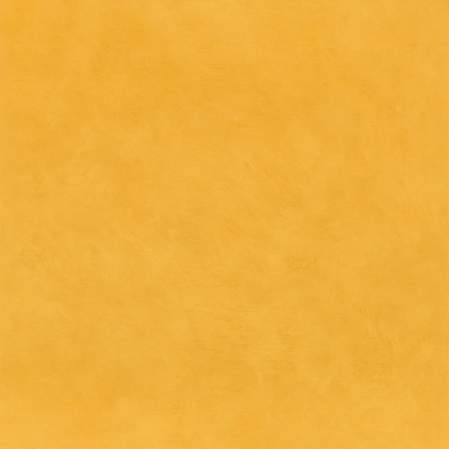 16 ARGILE Curry.jpg