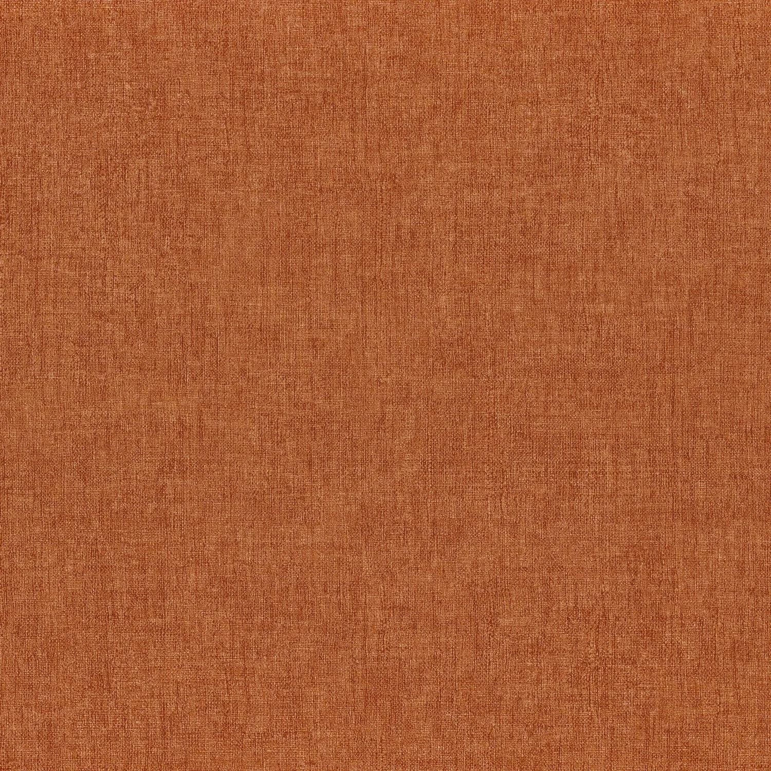 DIOLA__Orange Brulee__75151528.jpg