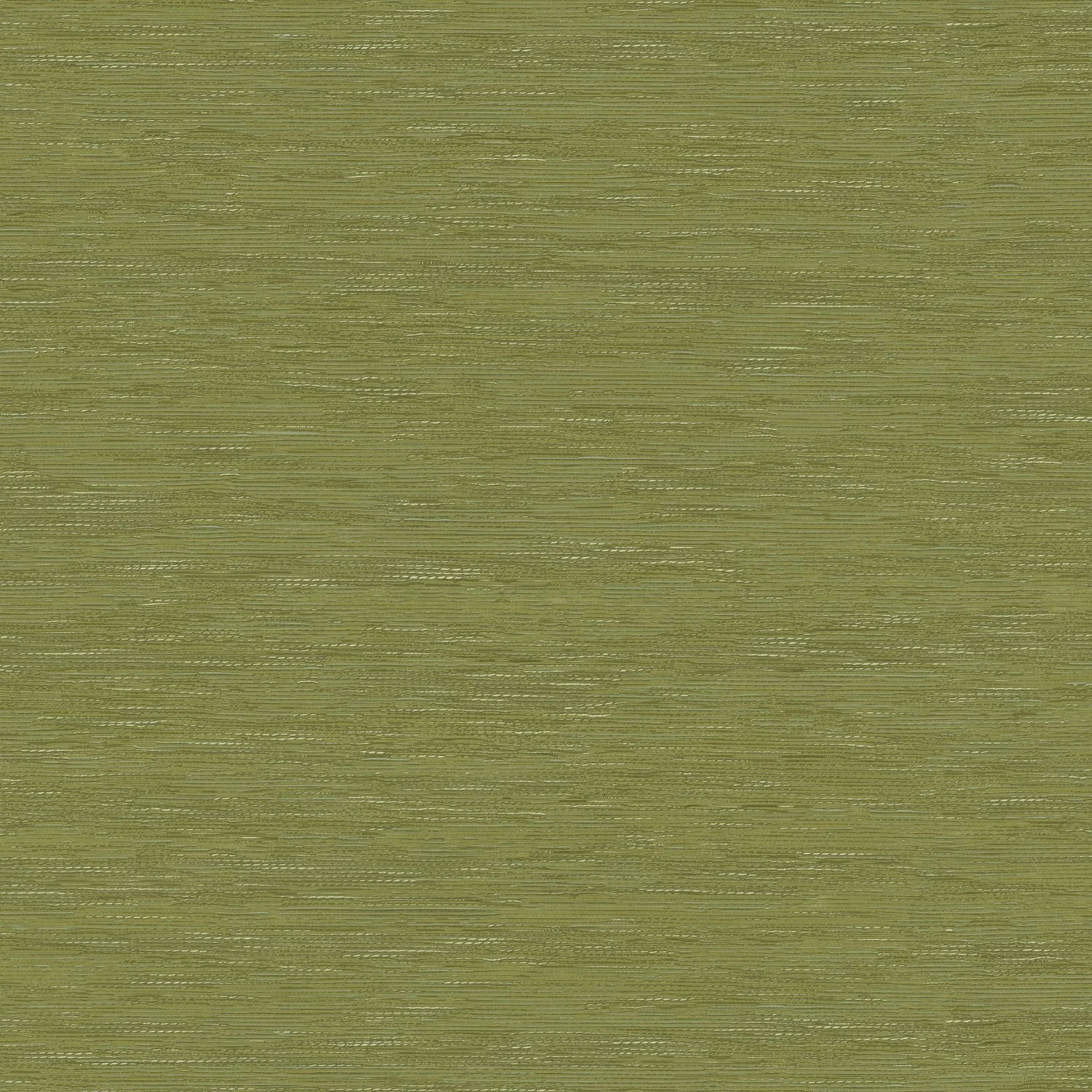 TATAMI__Matcha__75346018.jpg