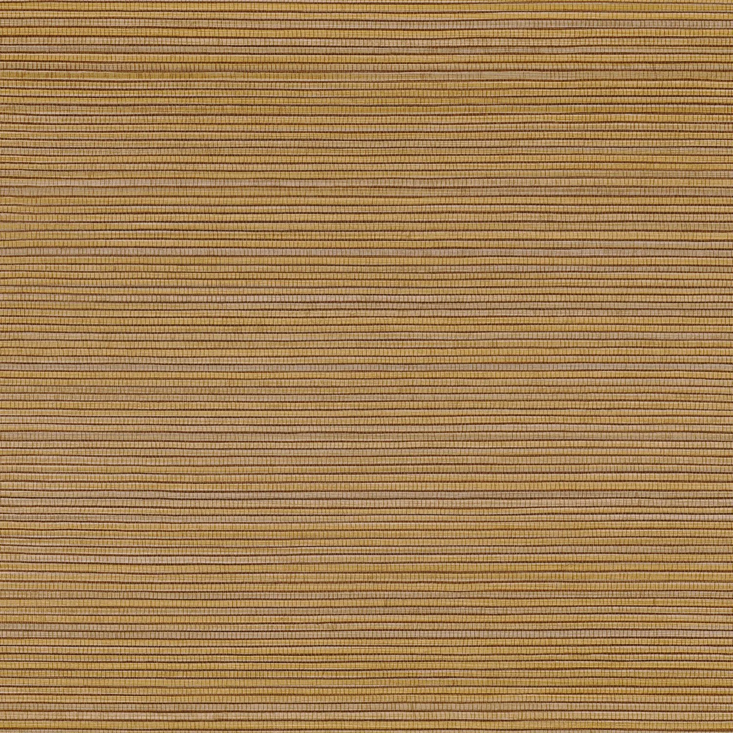 PANDAN__Ocre__75360814.jpg