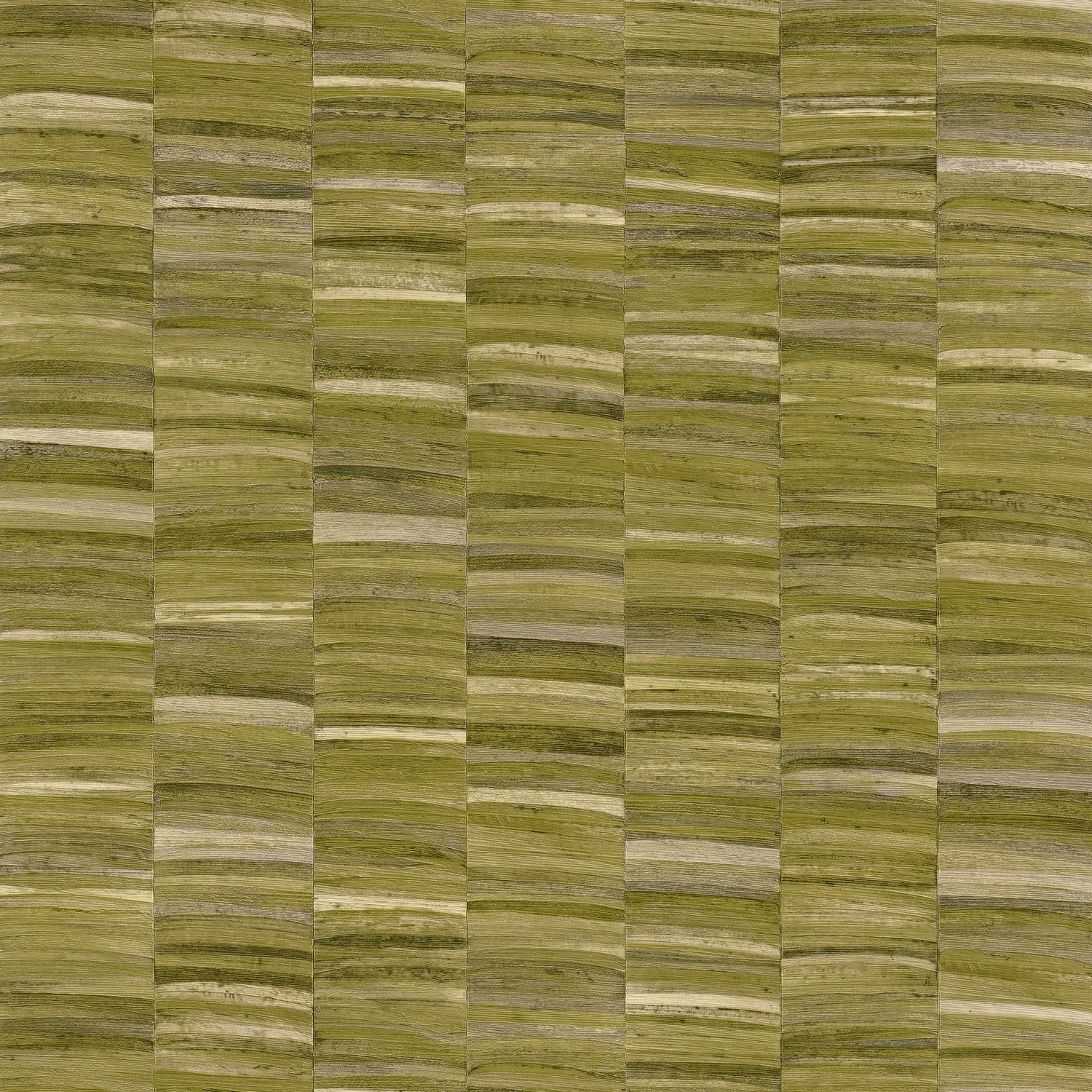 olive.jpg