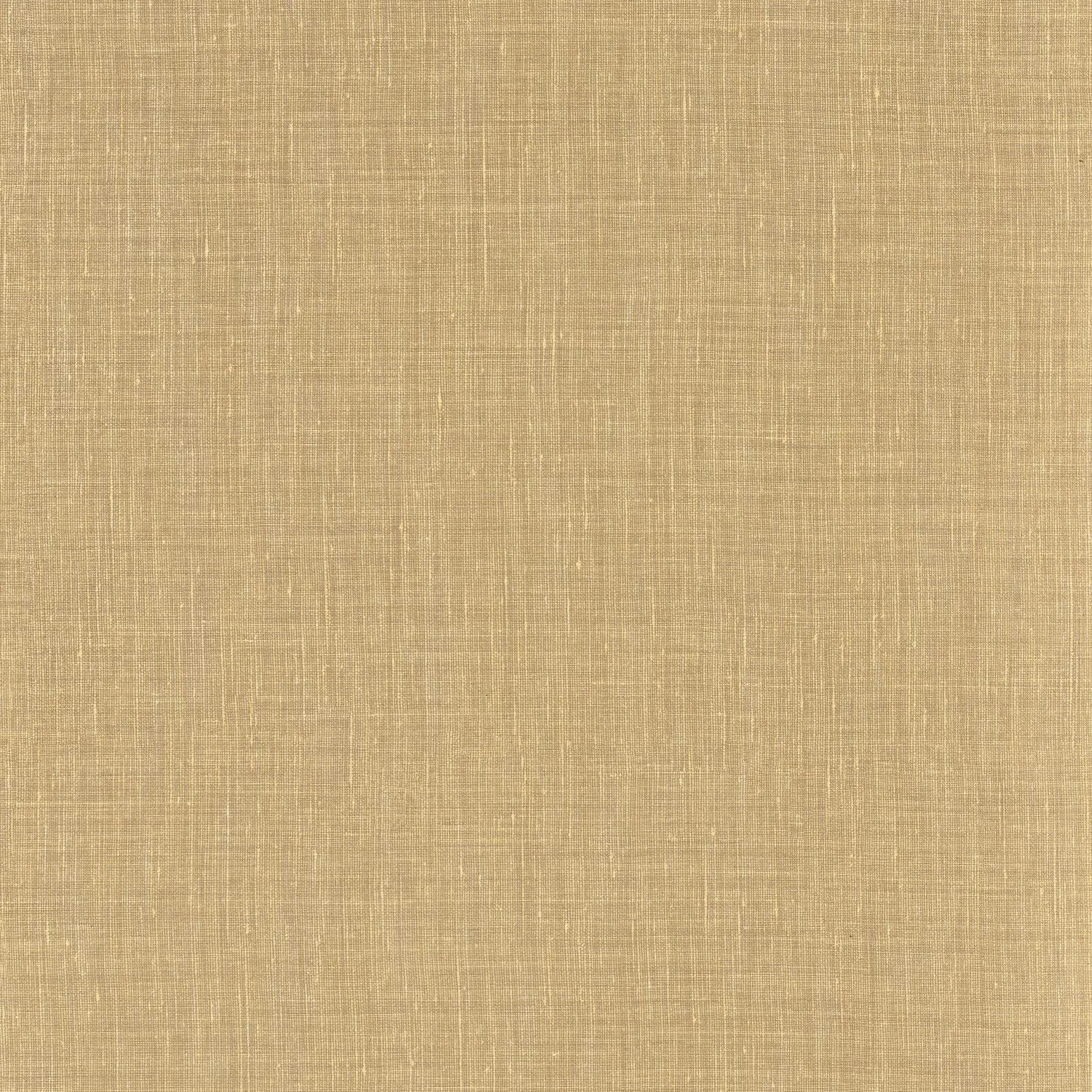 SHINOK__Paille__73817324.jpg