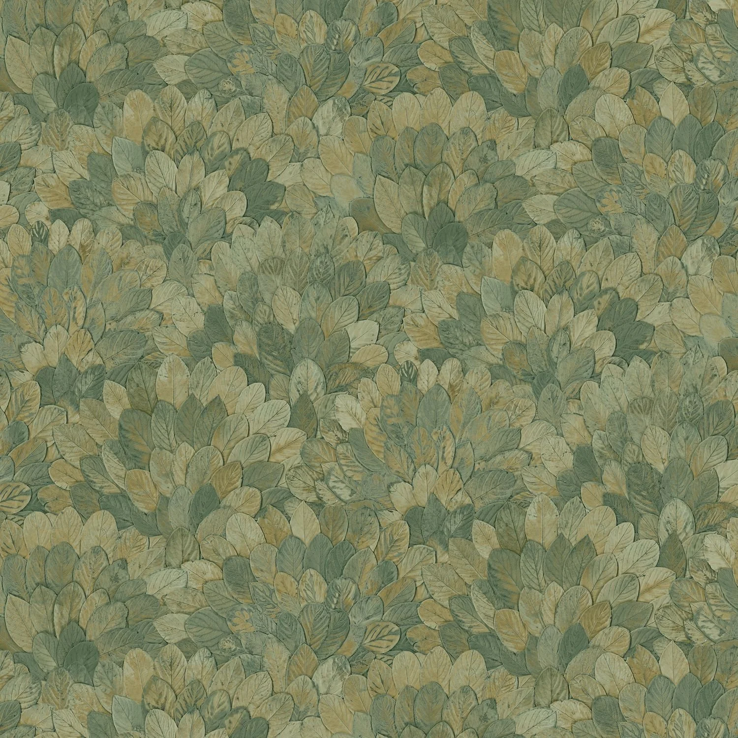 FEIJOA__Cypres__76841426.jpg
