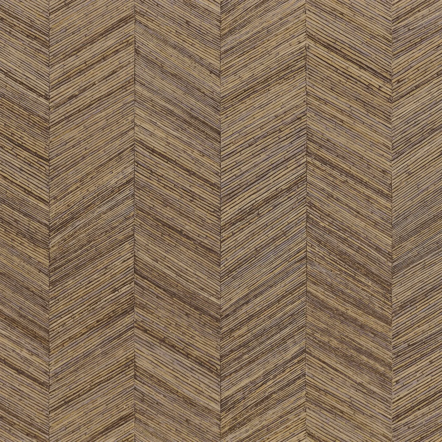 OCOTEA__Sepia__75371018.jpg